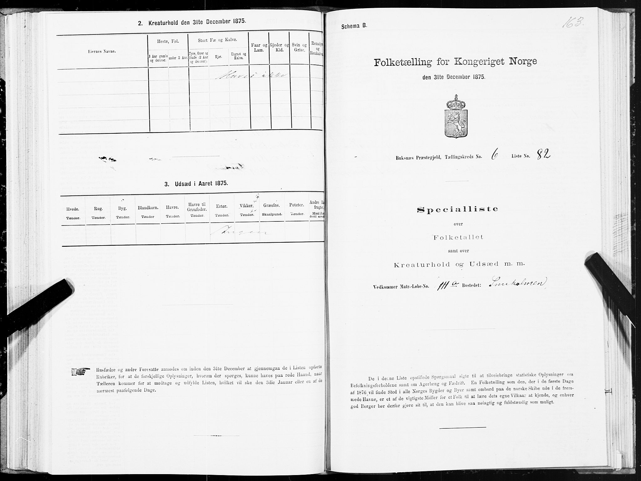 SAT, Folketelling 1875 for 1860P Buksnes prestegjeld, 1875, s. 3163