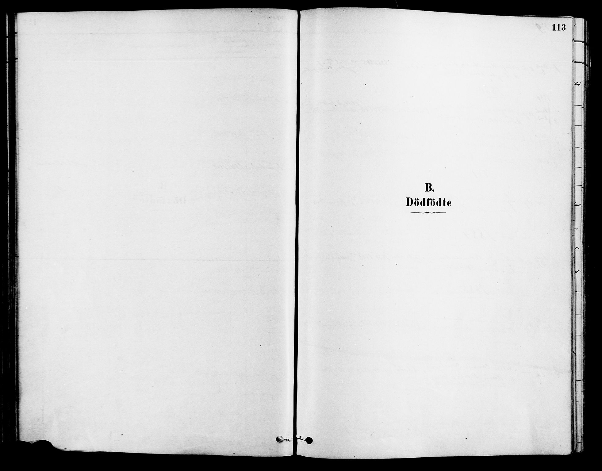 Tromøy sokneprestkontor, SAK/1111-0041/F/Fa/L0009: Ministerialbok nr. A 9, 1878-1896, s. 113