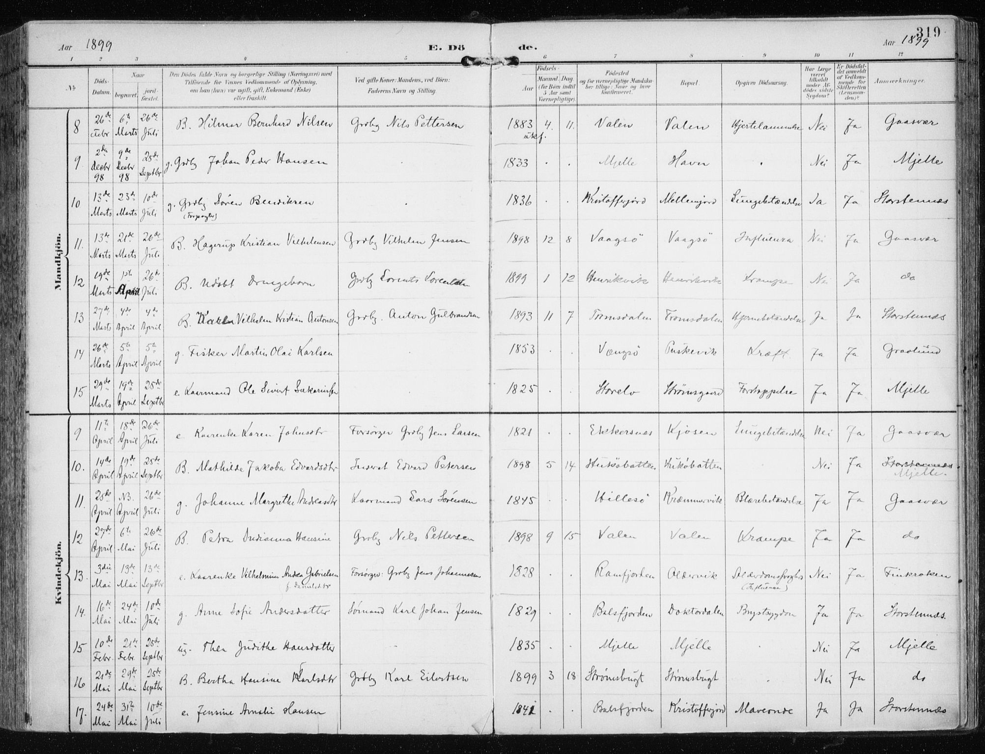 Tromsøysund sokneprestkontor, AV/SATØ-S-1304/G/Ga/L0006kirke: Ministerialbok nr. 6, 1897-1906, s. 319