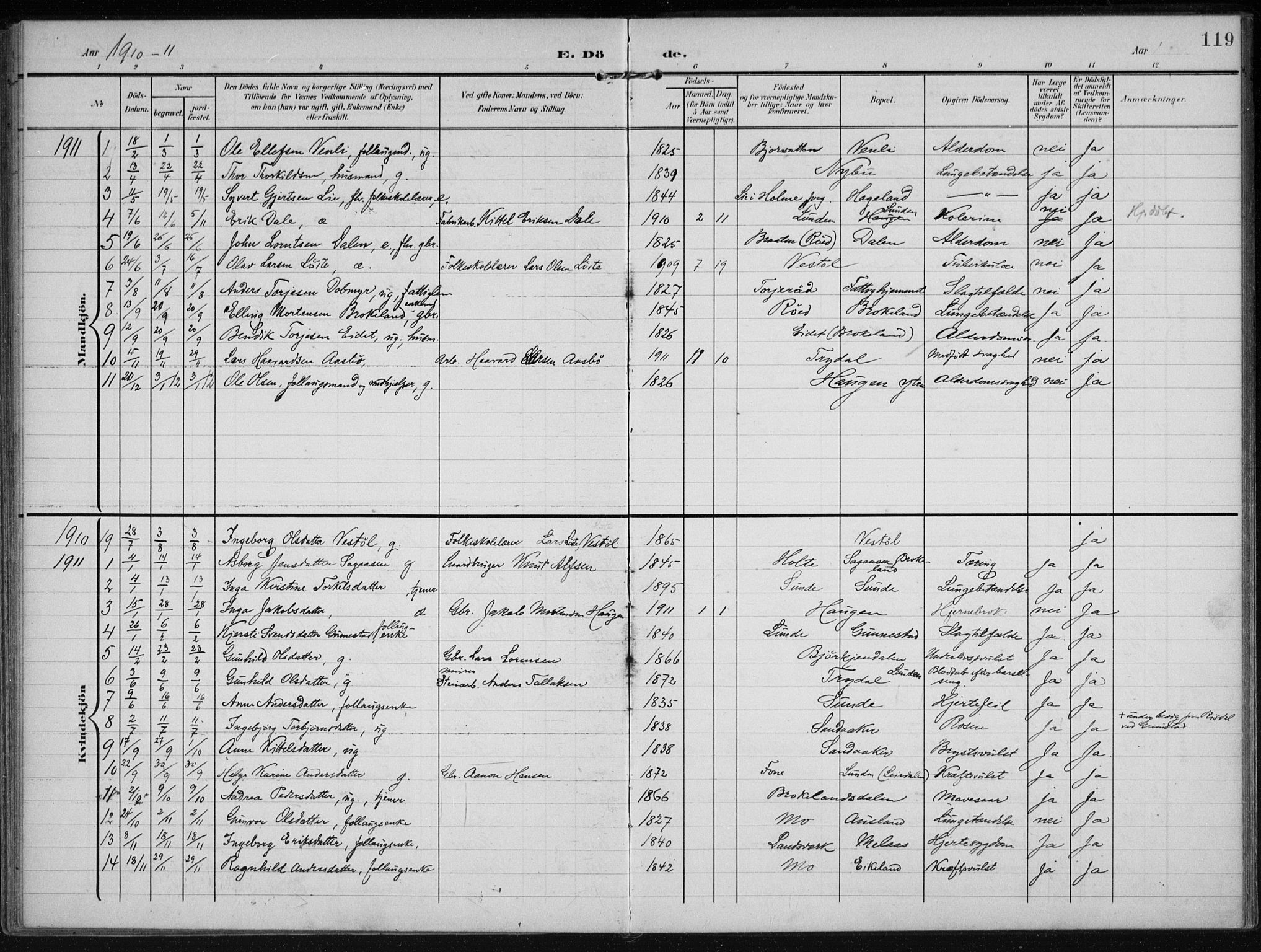 Gjerstad sokneprestkontor, SAK/1111-0014/F/Fa/Faa/L0011: Ministerialbok nr. A 11, 1903-1914, s. 119