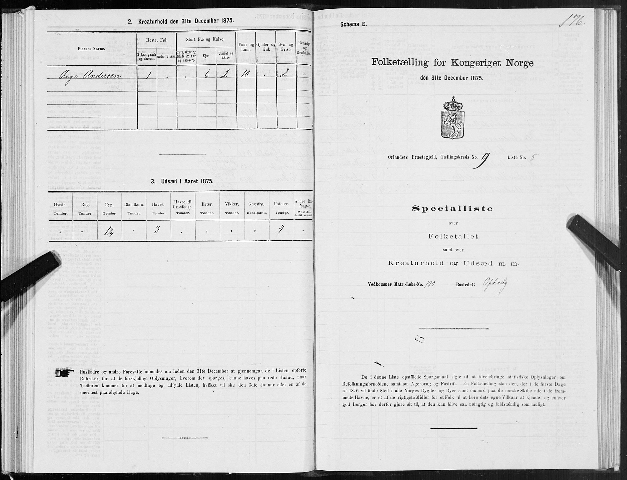 SAT, Folketelling 1875 for 1621P Ørland prestegjeld, 1875, s. 6176