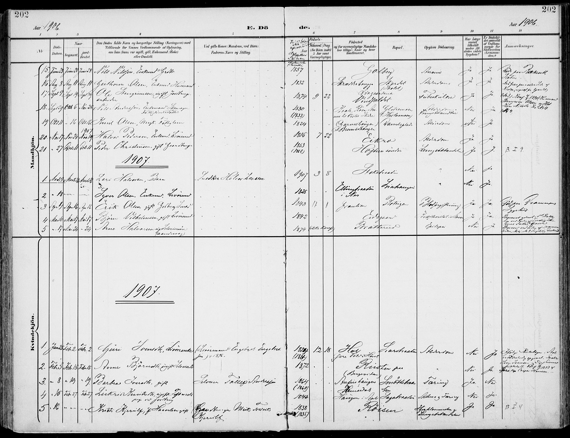 Gol kirkebøker, AV/SAKO-A-226/F/Fa/L0006: Ministerialbok nr. I 6, 1901-1918, s. 202