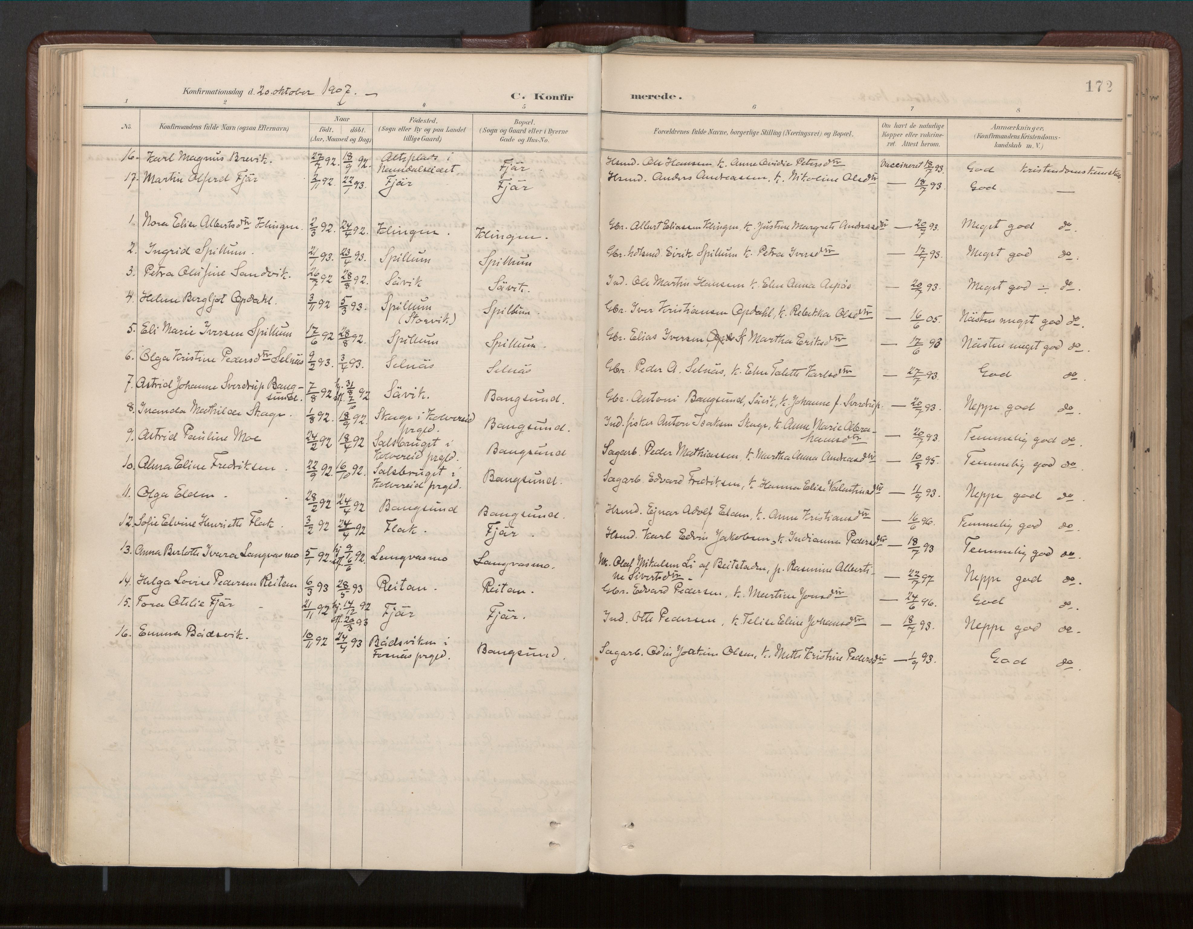 Ministerialprotokoller, klokkerbøker og fødselsregistre - Nord-Trøndelag, AV/SAT-A-1458/770/L0589: Ministerialbok nr. 770A03, 1887-1929, s. 172