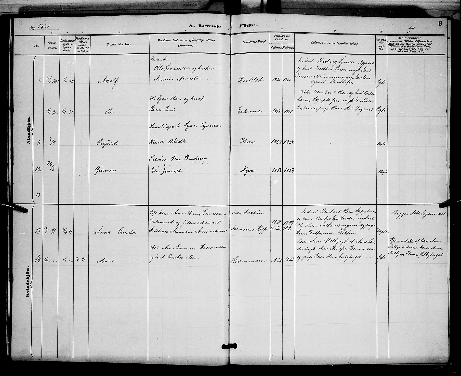 Åsnes prestekontor, AV/SAH-PREST-042/H/Ha/Hab/L0002: Klokkerbok nr. 2, 1890-1891, s. 9