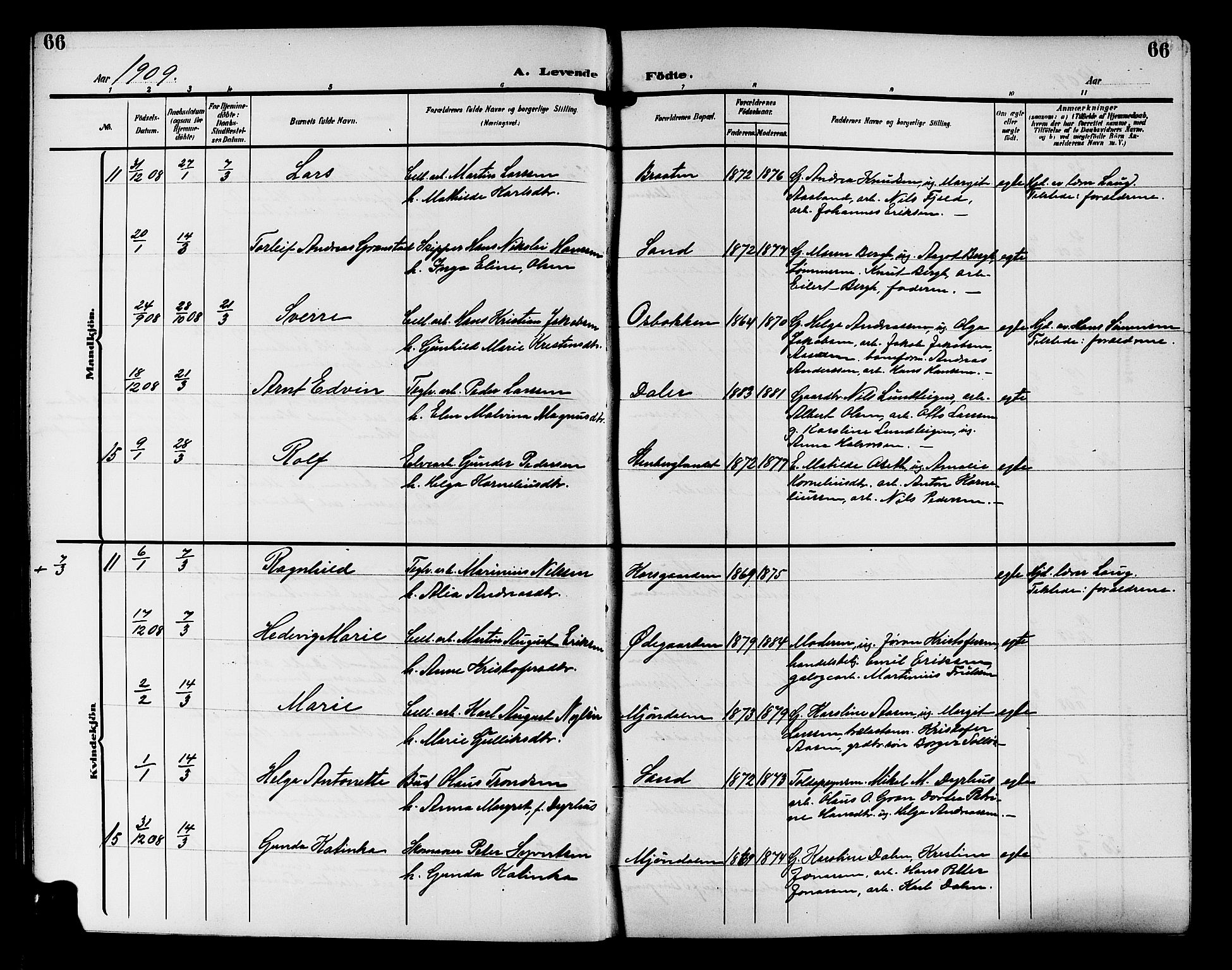 Nedre Eiker kirkebøker, AV/SAKO-A-612/G/Ga/L0004: Klokkerbok nr. 4, 1905-1912, s. 66