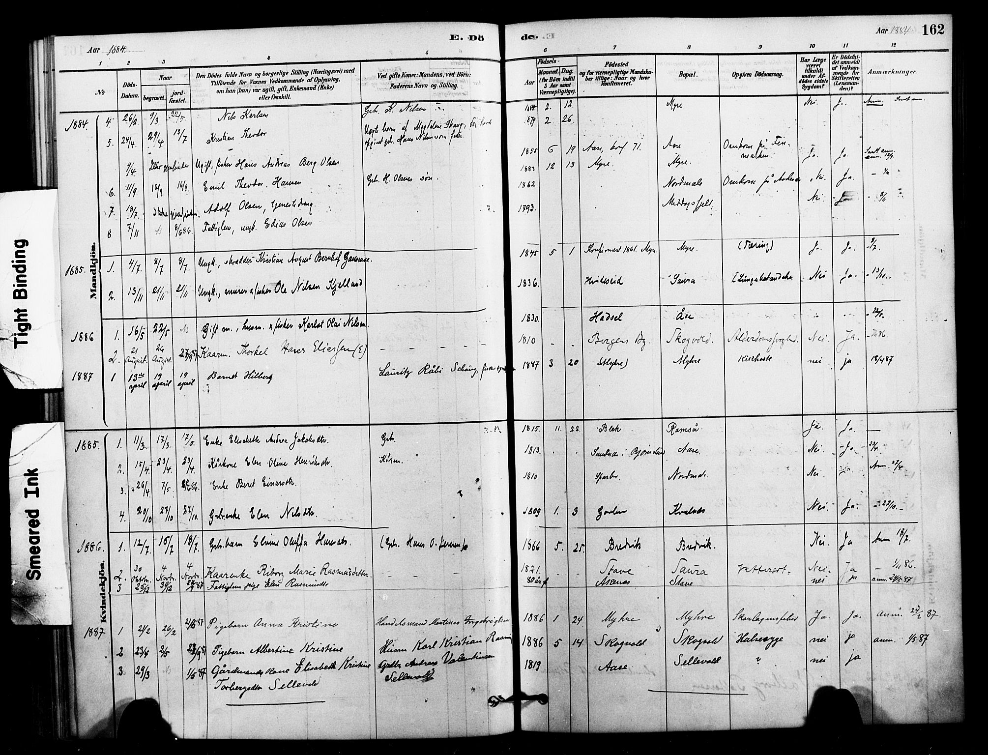 Ministerialprotokoller, klokkerbøker og fødselsregistre - Nordland, AV/SAT-A-1459/897/L1399: Ministerialbok nr. 897C06, 1881-1896, s. 162