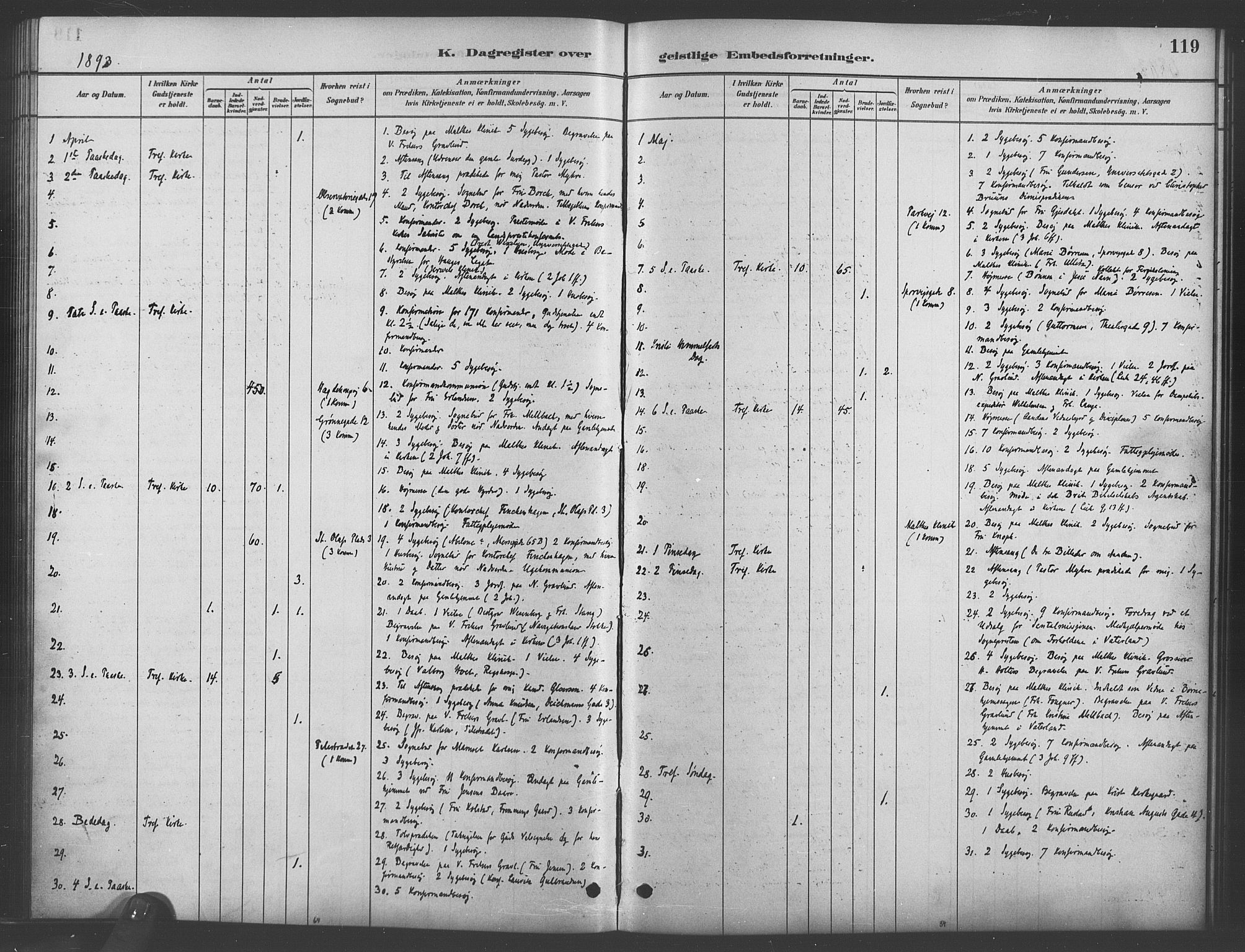 Trefoldighet prestekontor Kirkebøker, AV/SAO-A-10882/I/Ia/L0003: Dagsregister nr. 3, 1881-1901, s. 119