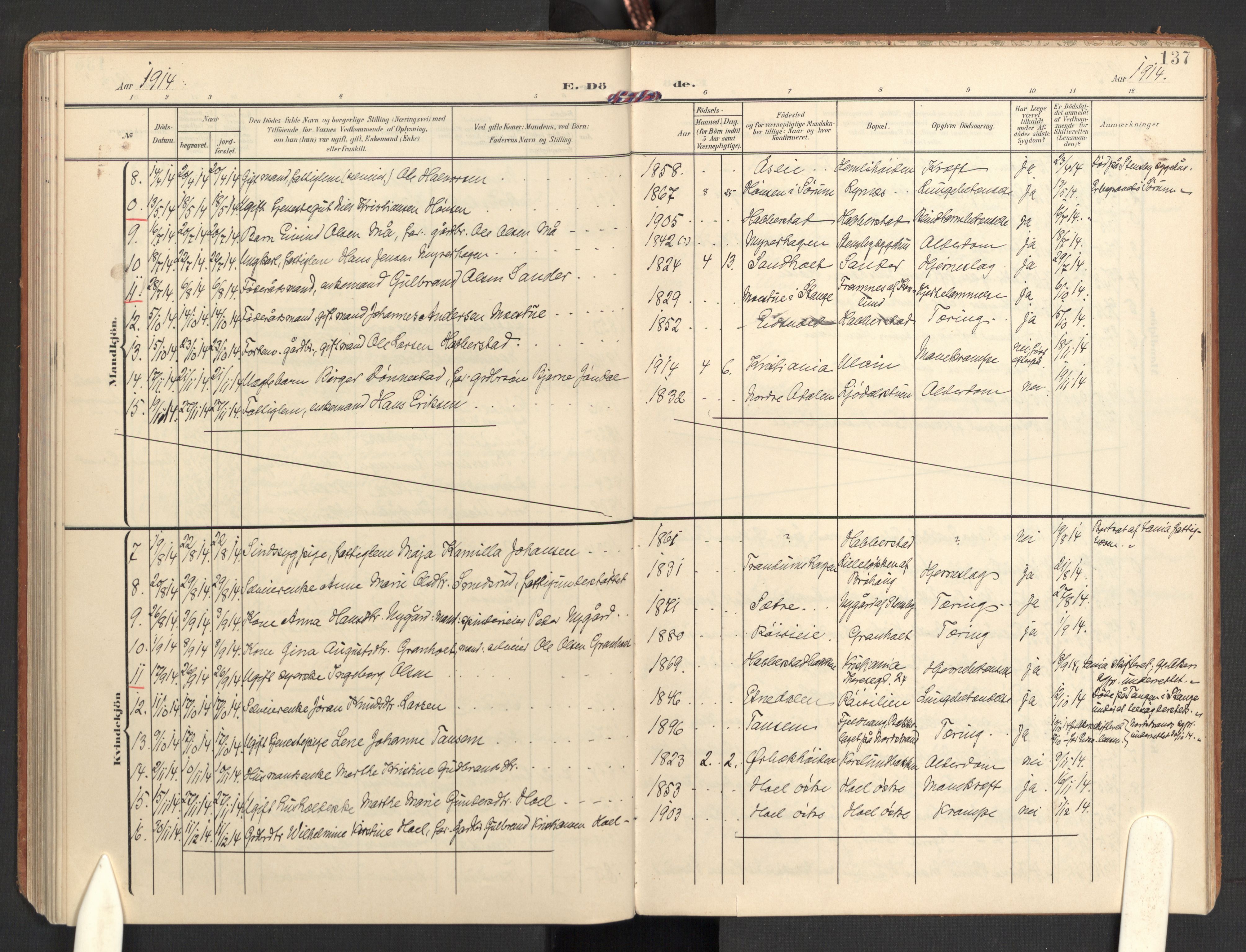 Eidsvoll prestekontor Kirkebøker, AV/SAO-A-10888/G/Gb/L0003: Klokkerbok nr. II 3, 1908-1919, s. 137