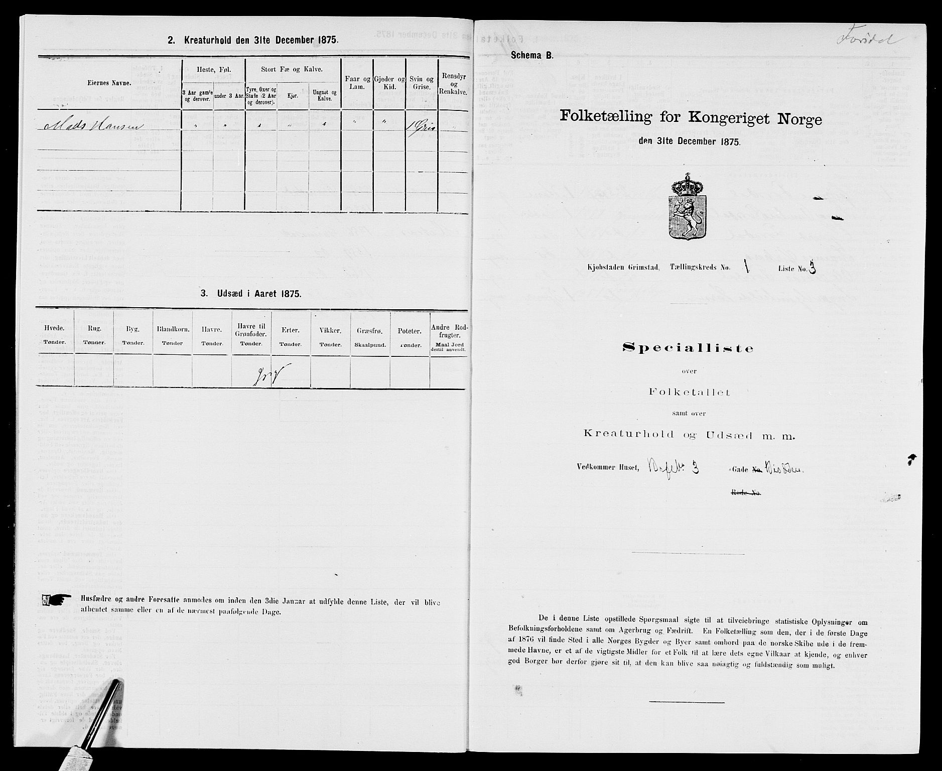 SAK, Folketelling 1875 for 0904B Fjære prestegjeld, Grimstad kjøpstad, 1875, s. 14