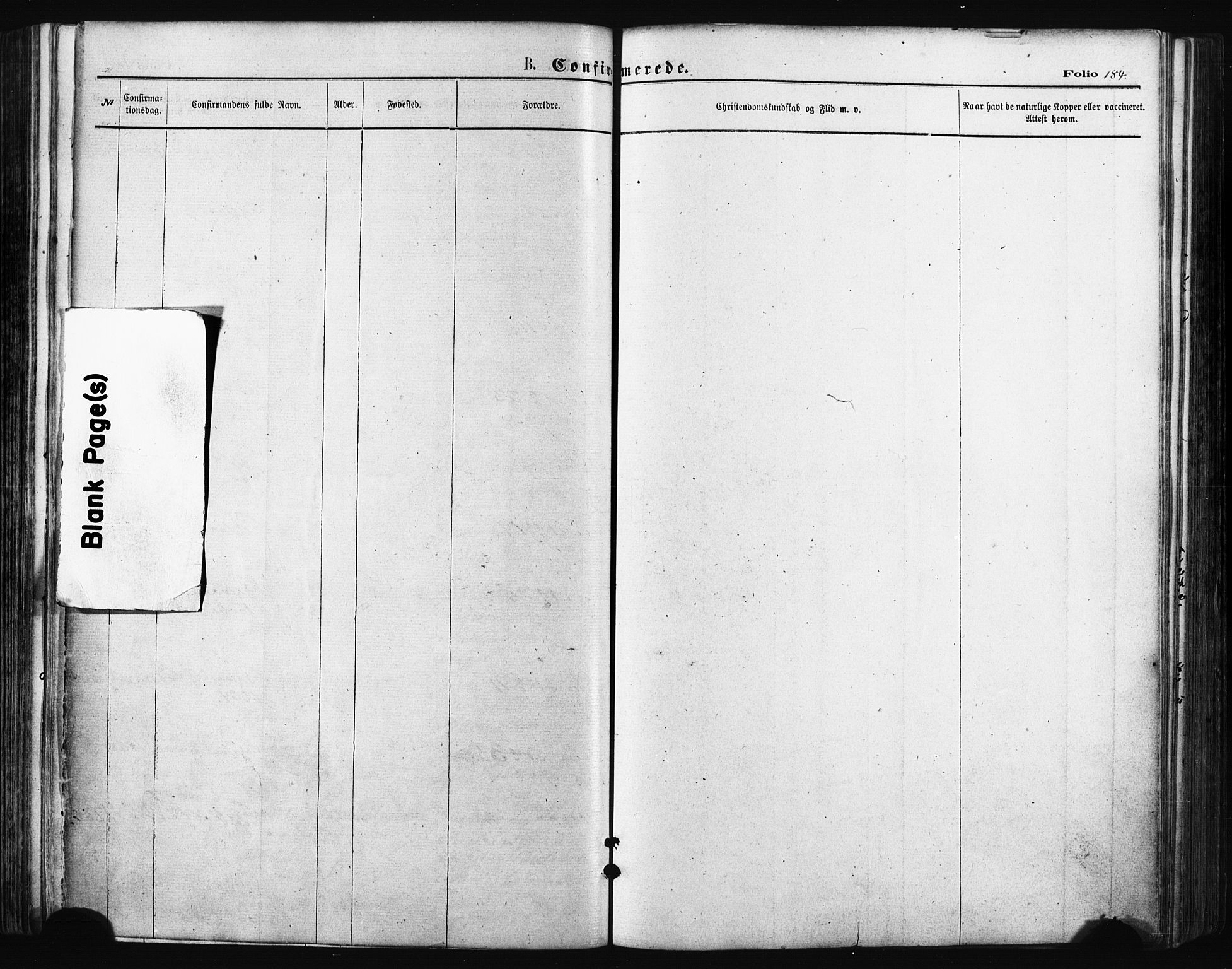 Trondenes sokneprestkontor, SATØ/S-1319/H/Ha/L0013kirke: Ministerialbok nr. 13, 1870-1878, s. 184
