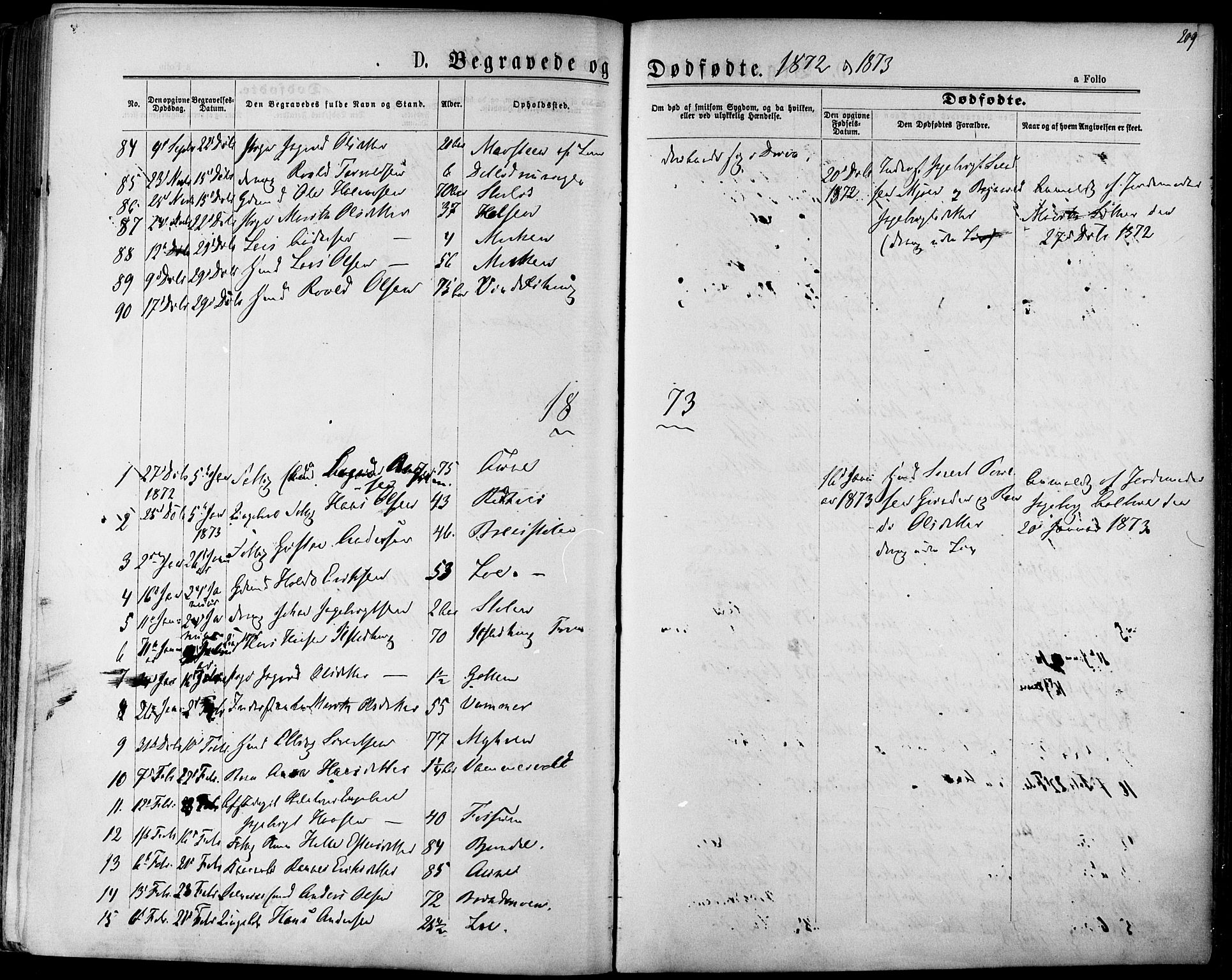 Ministerialprotokoller, klokkerbøker og fødselsregistre - Sør-Trøndelag, AV/SAT-A-1456/678/L0900: Ministerialbok nr. 678A09, 1872-1881, s. 209