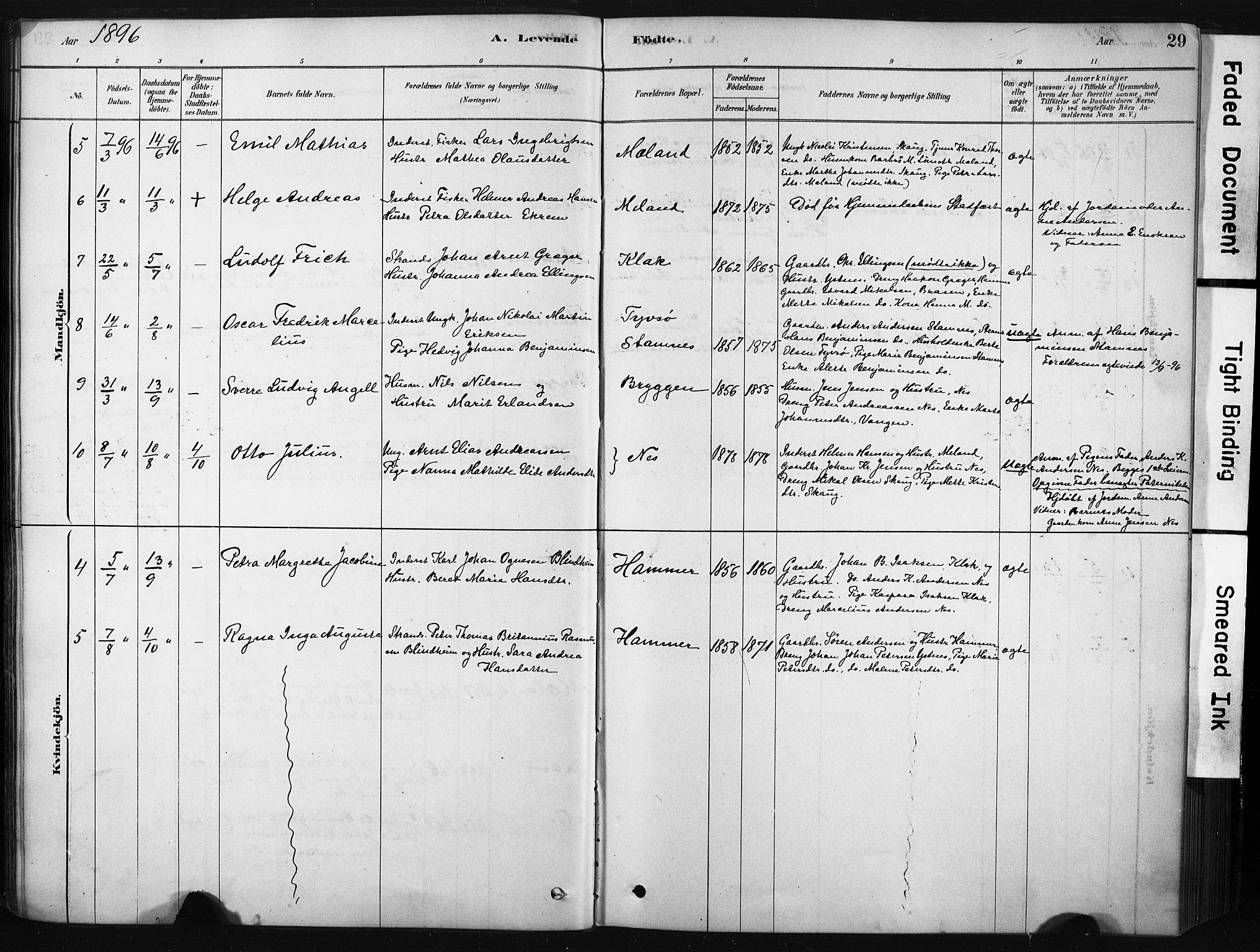 Ministerialprotokoller, klokkerbøker og fødselsregistre - Nordland, AV/SAT-A-1459/808/L0128: Ministerialbok nr. 808A01, 1880-1902, s. 29