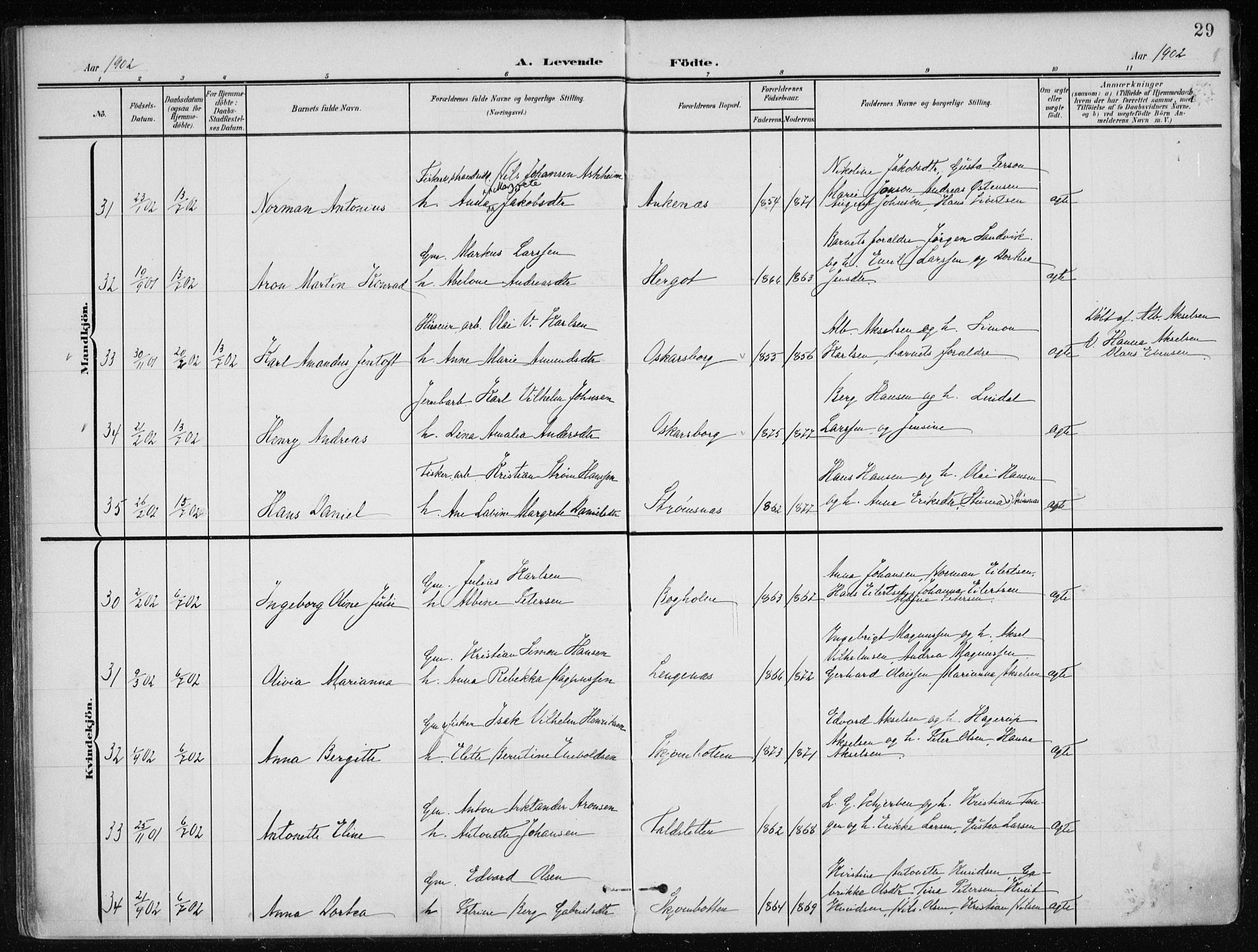 Ministerialprotokoller, klokkerbøker og fødselsregistre - Nordland, AV/SAT-A-1459/866/L0941: Ministerialbok nr. 866A04, 1901-1917, s. 29