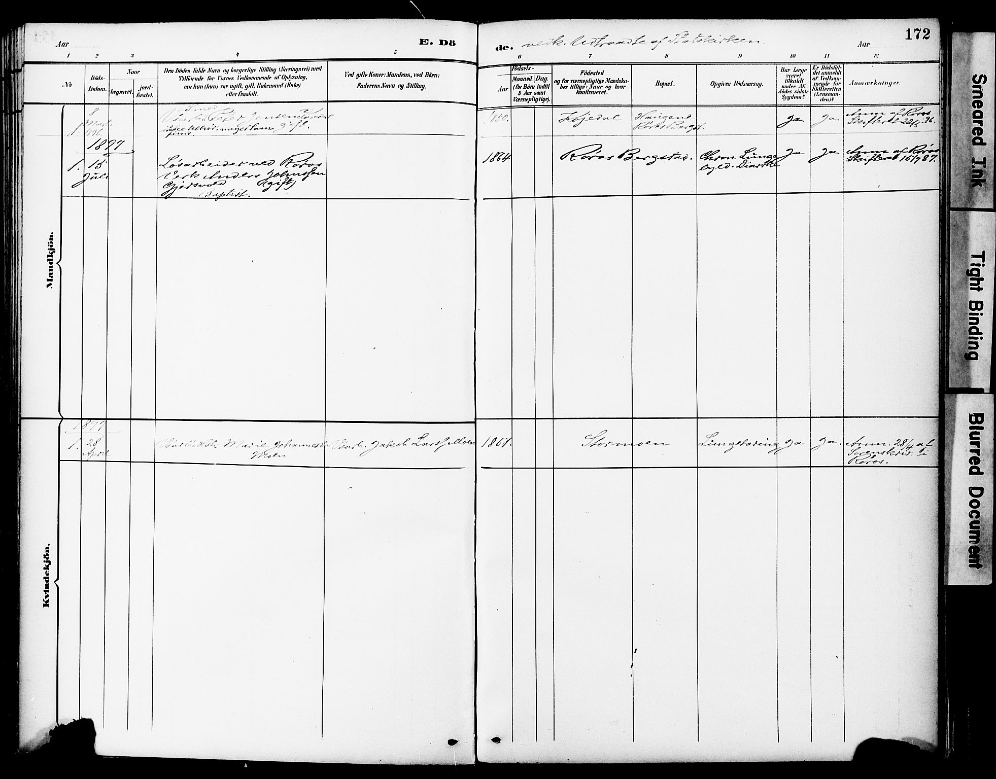 Ministerialprotokoller, klokkerbøker og fødselsregistre - Sør-Trøndelag, AV/SAT-A-1456/681/L0935: Ministerialbok nr. 681A13, 1890-1898, s. 172