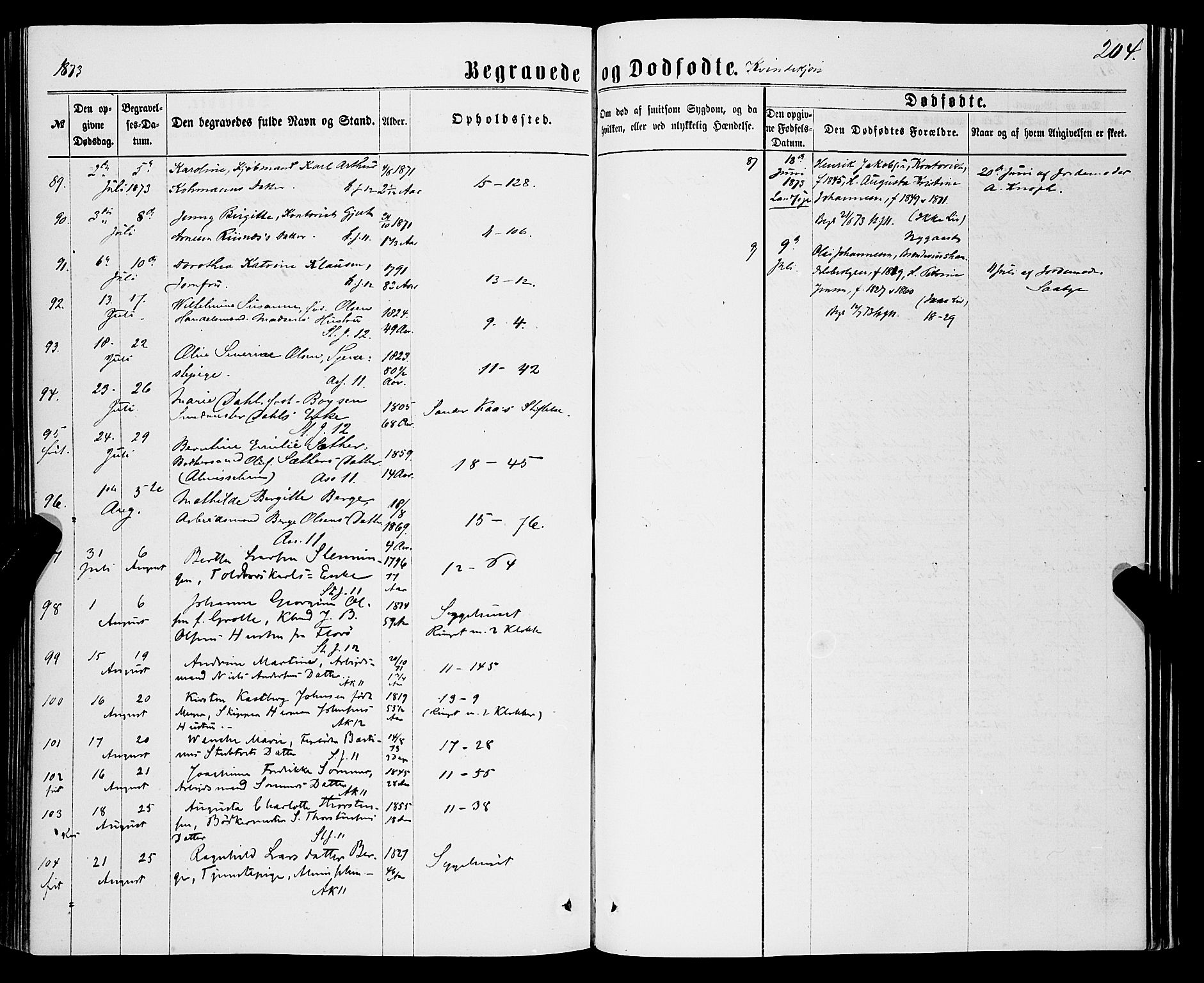 Domkirken sokneprestembete, SAB/A-74801/H/Haa/L0042: Ministerialbok nr. E 3, 1863-1876, s. 204