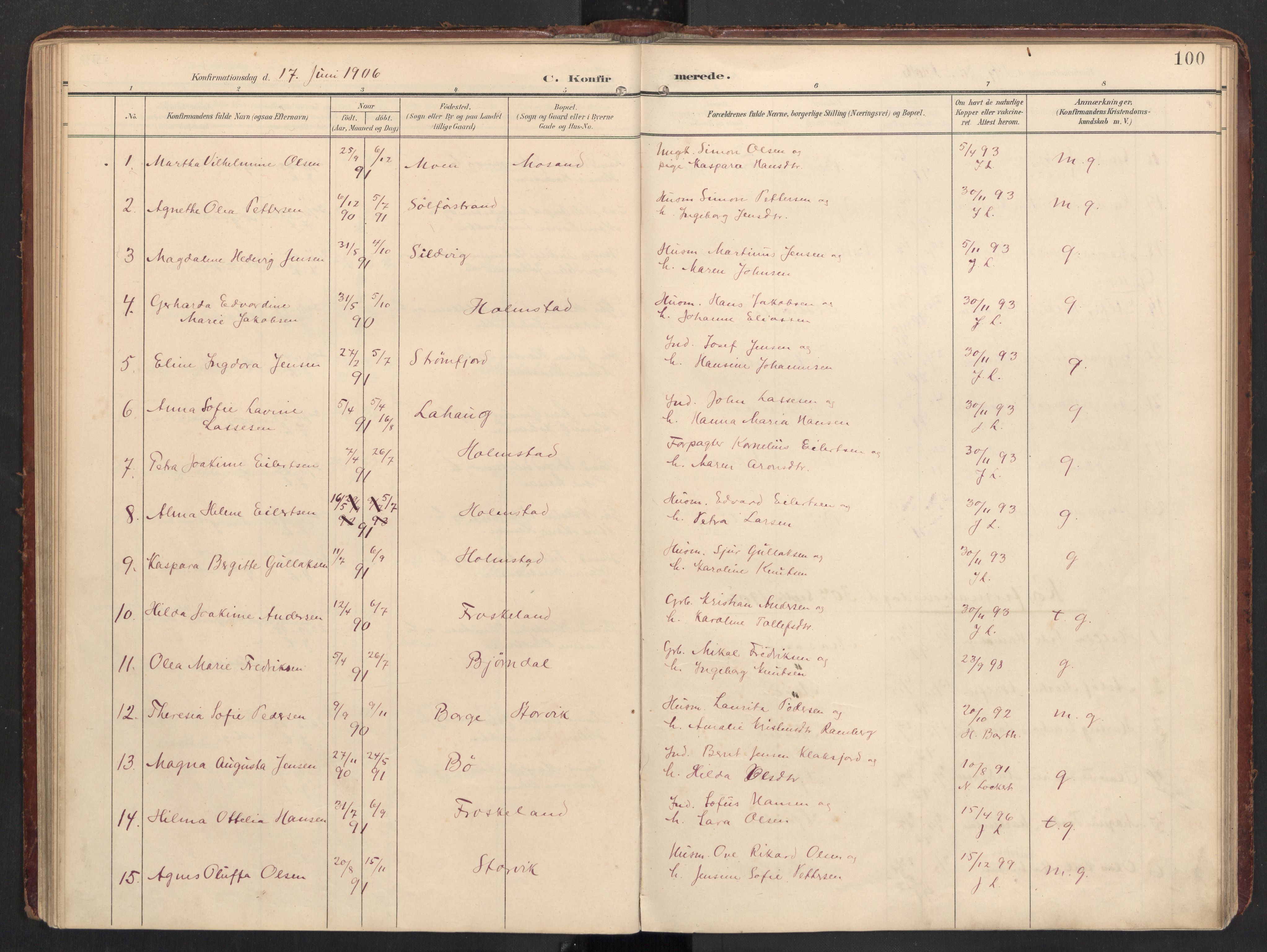 Ministerialprotokoller, klokkerbøker og fødselsregistre - Nordland, AV/SAT-A-1459/890/L1287: Ministerialbok nr. 890A02, 1903-1915, s. 100