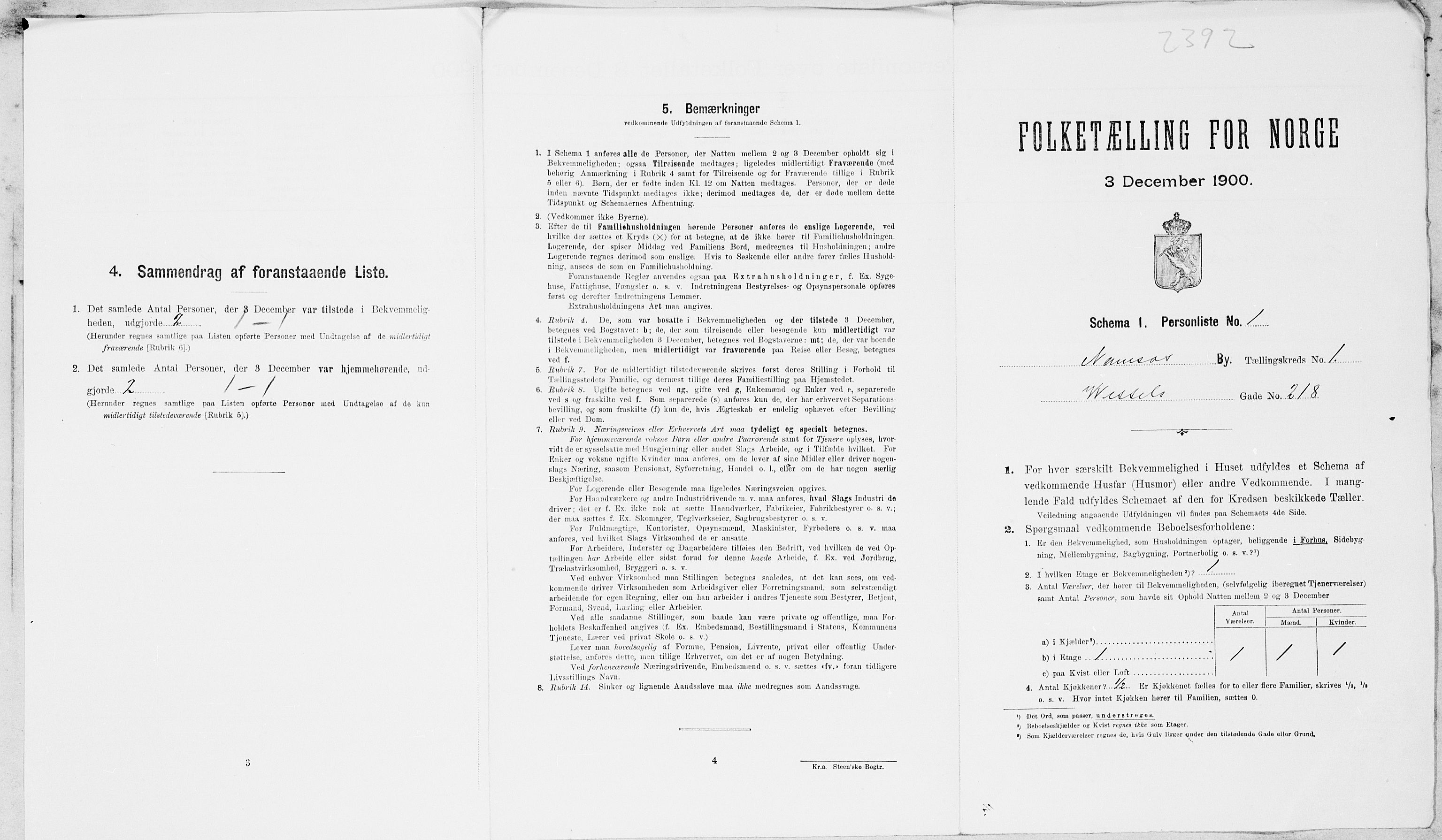 SAT, Folketelling 1900 for 1703 Namsos ladested, 1900, s. 196