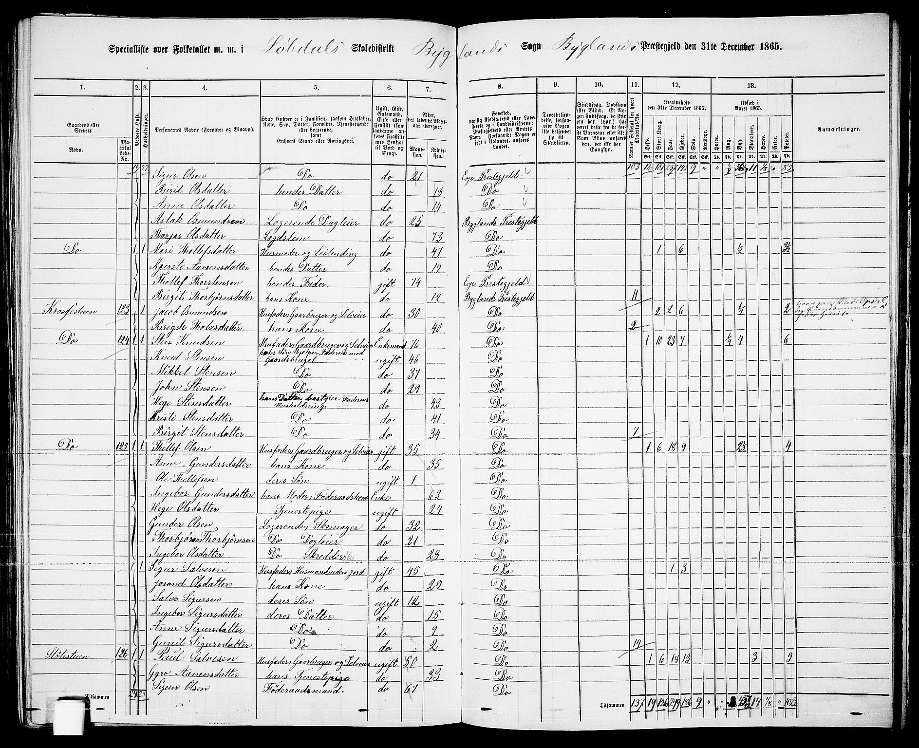 RA, Folketelling 1865 for 0938P Bygland prestegjeld, 1865, s. 72