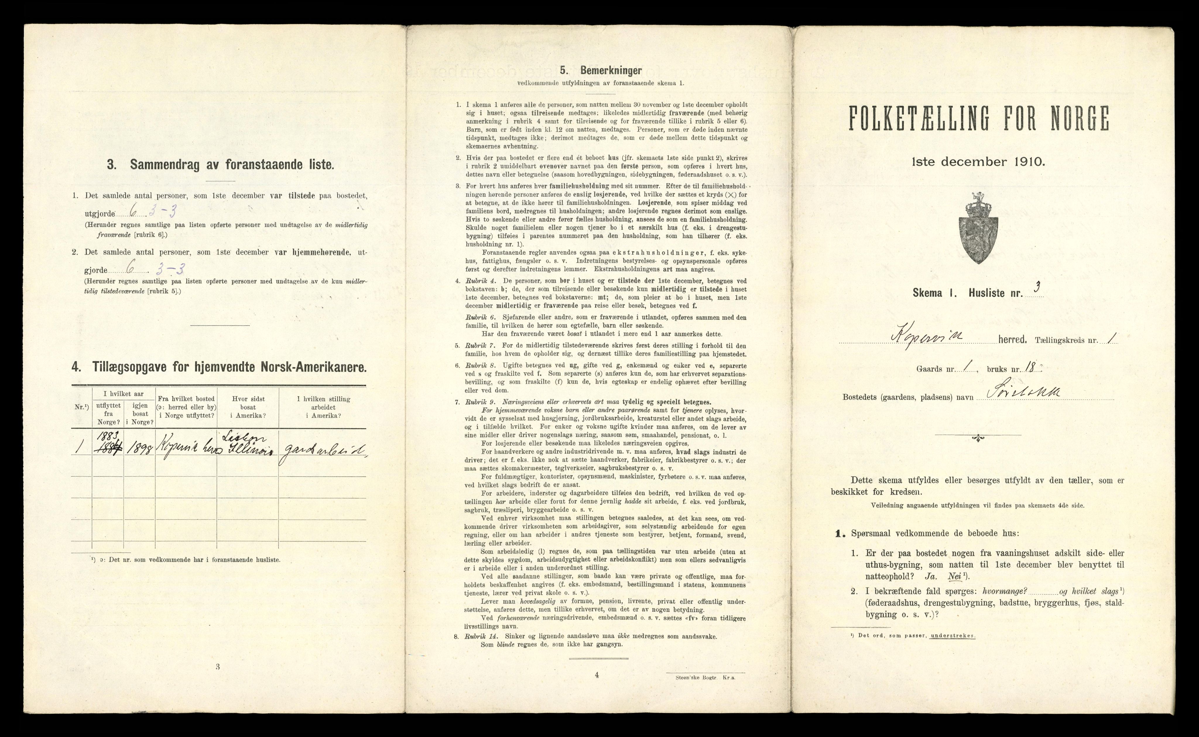 RA, Folketelling 1910 for 1148 Kopervik herred, 1910, s. 21