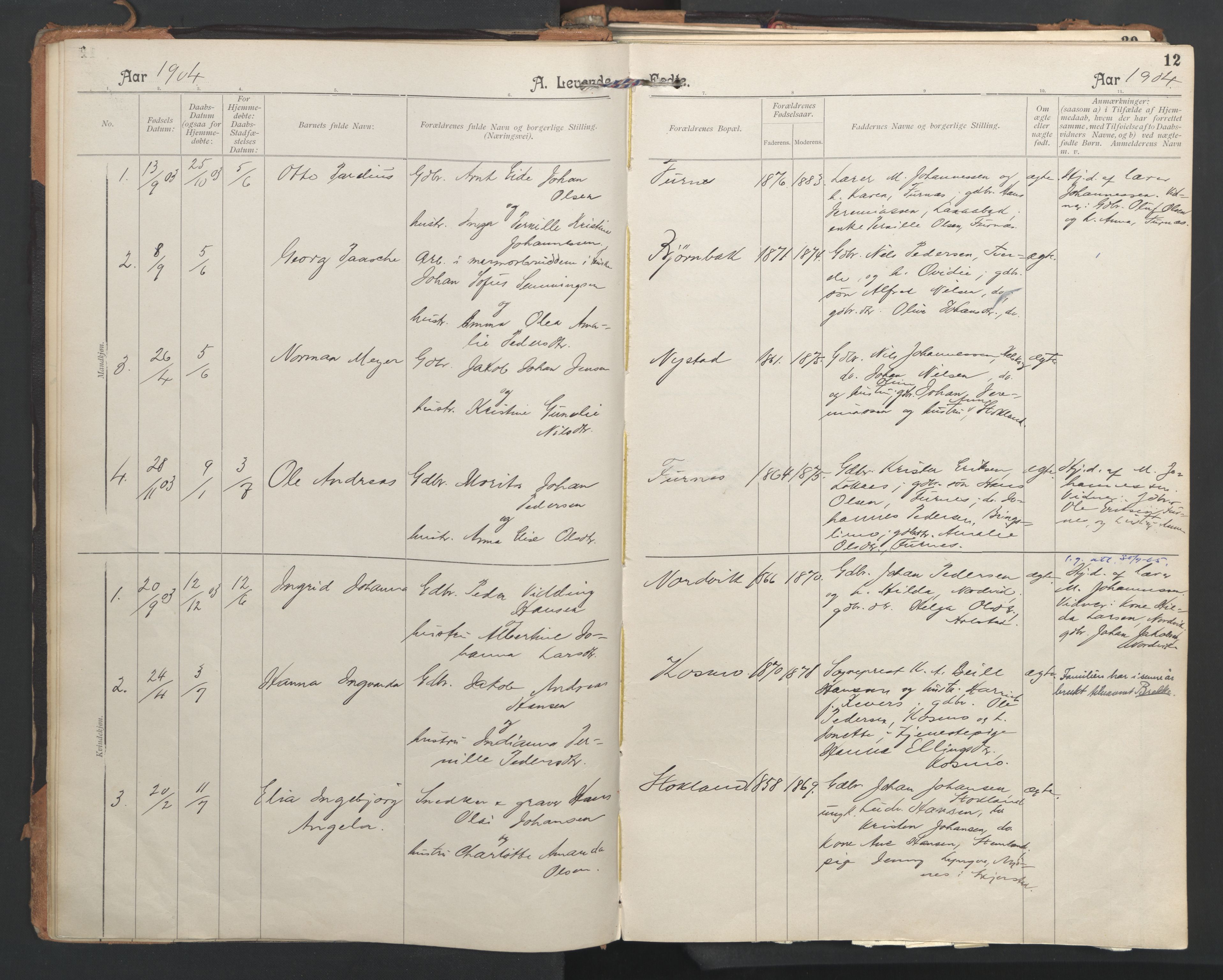 Ministerialprotokoller, klokkerbøker og fødselsregistre - Nordland, AV/SAT-A-1459/851/L0724: Ministerialbok nr. 851A01, 1901-1922, s. 12