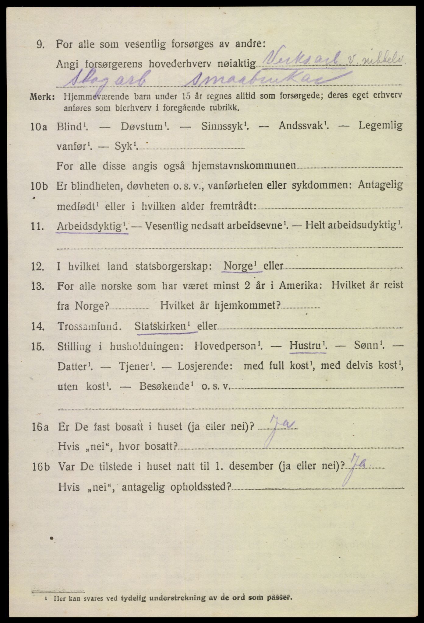 SAK, Folketelling 1920 for 0936 Hornnes herred, 1920, s. 982