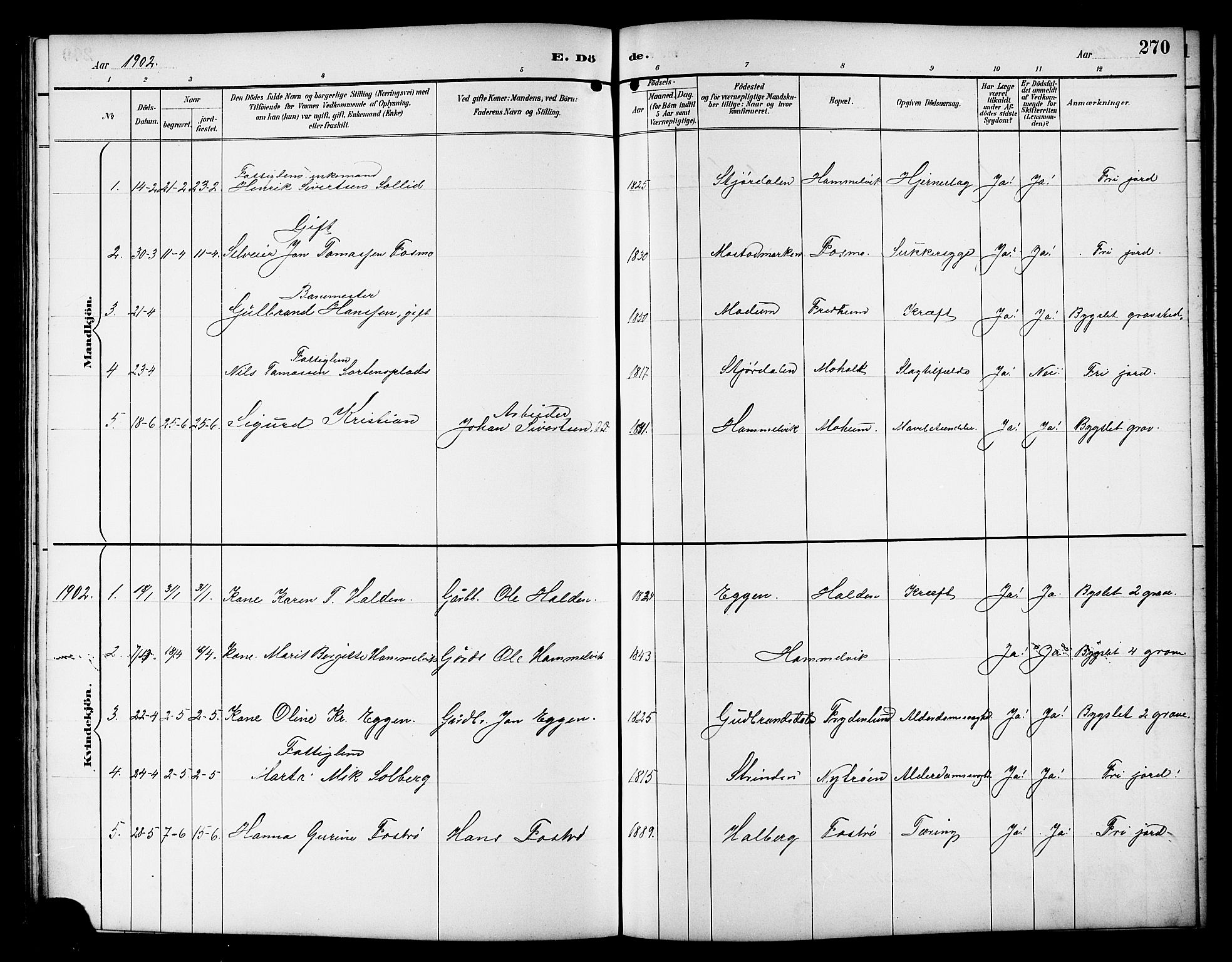 Ministerialprotokoller, klokkerbøker og fødselsregistre - Sør-Trøndelag, AV/SAT-A-1456/617/L0431: Klokkerbok nr. 617C01, 1889-1910, s. 270
