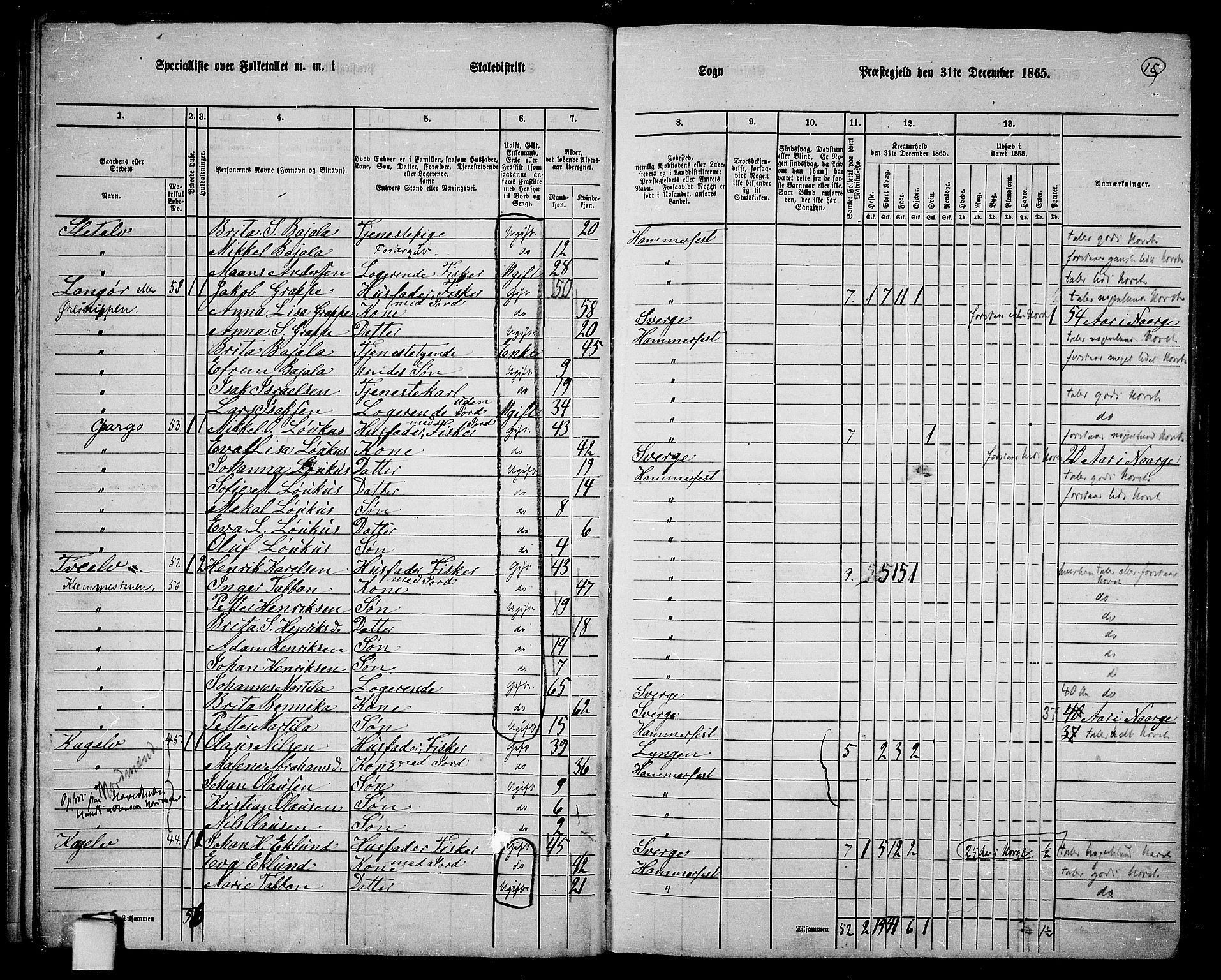 RA, Folketelling 1865 for 2016L Hammerfest prestegjeld, Hammerfest landsokn, 1865, s. 14