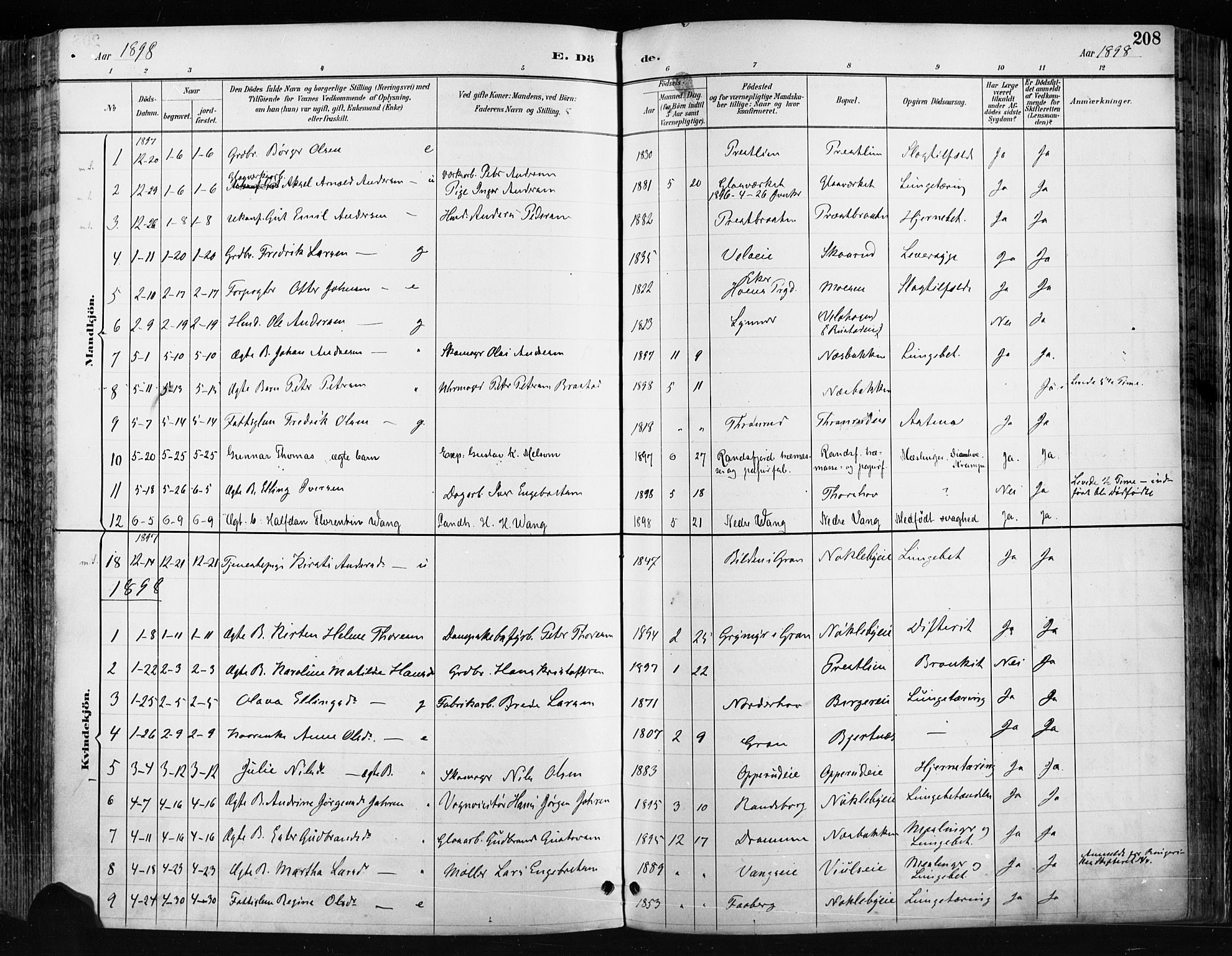 Jevnaker prestekontor, AV/SAH-PREST-116/H/Ha/Haa/L0009: Ministerialbok nr. 9, 1891-1901, s. 208