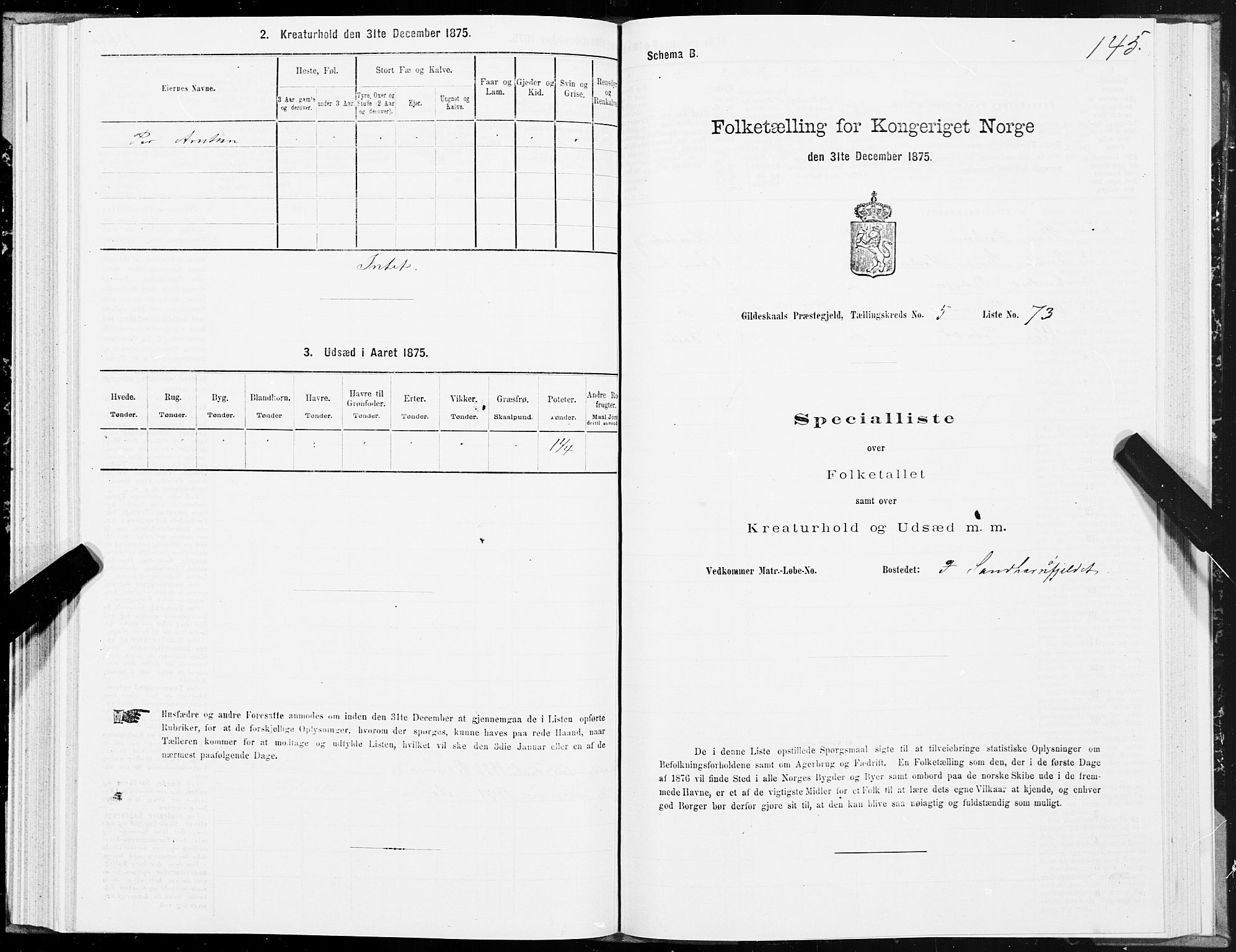 SAT, Folketelling 1875 for 1838P Gildeskål prestegjeld, 1875, s. 3145