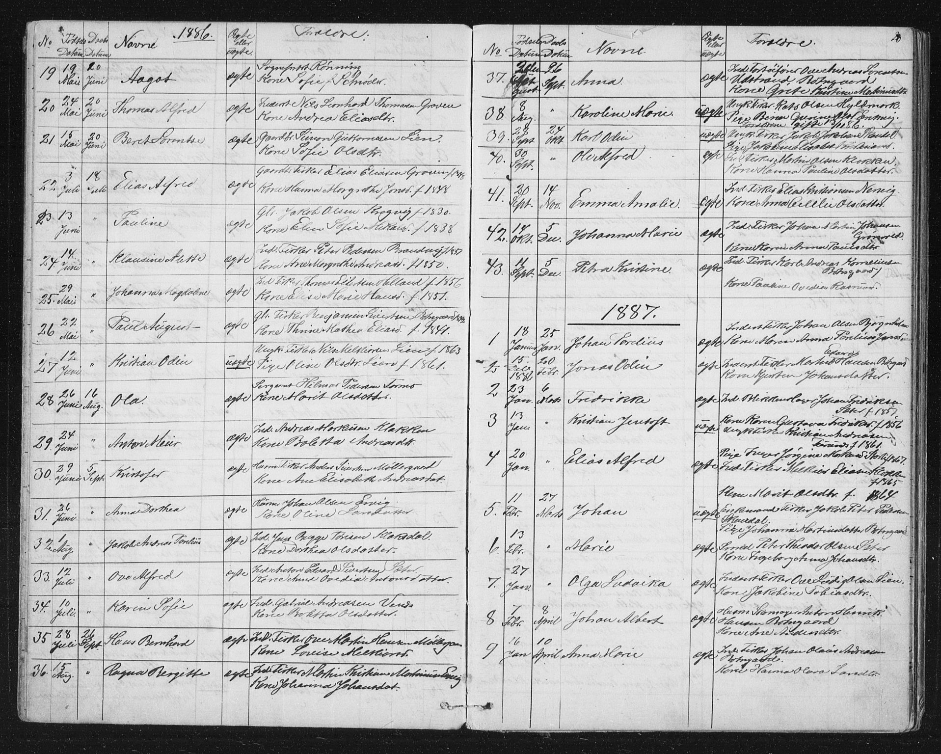 Ministerialprotokoller, klokkerbøker og fødselsregistre - Sør-Trøndelag, SAT/A-1456/651/L0647: Klokkerbok nr. 651C01, 1866-1914, s. 20