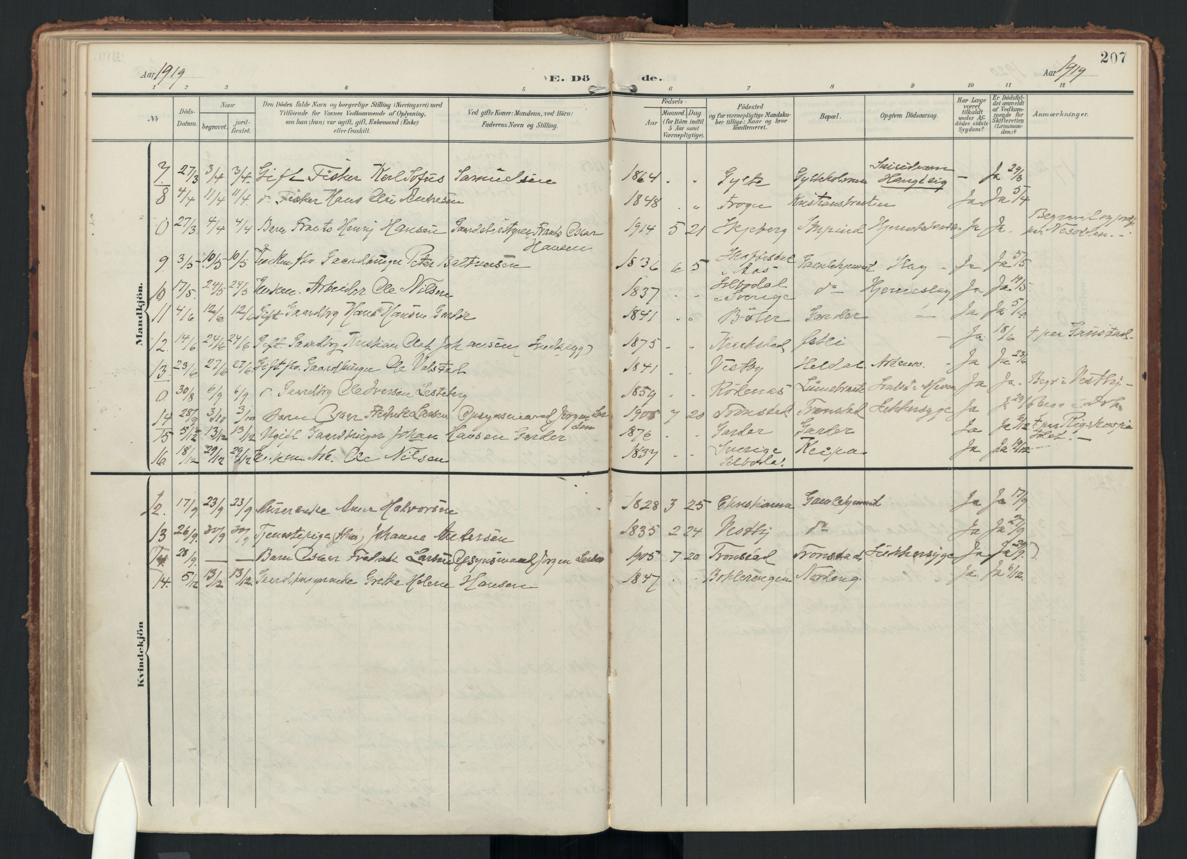 Drøbak prestekontor Kirkebøker, AV/SAO-A-10142a/F/Fc/L0003: Ministerialbok nr. III 3, 1901-1920, s. 207
