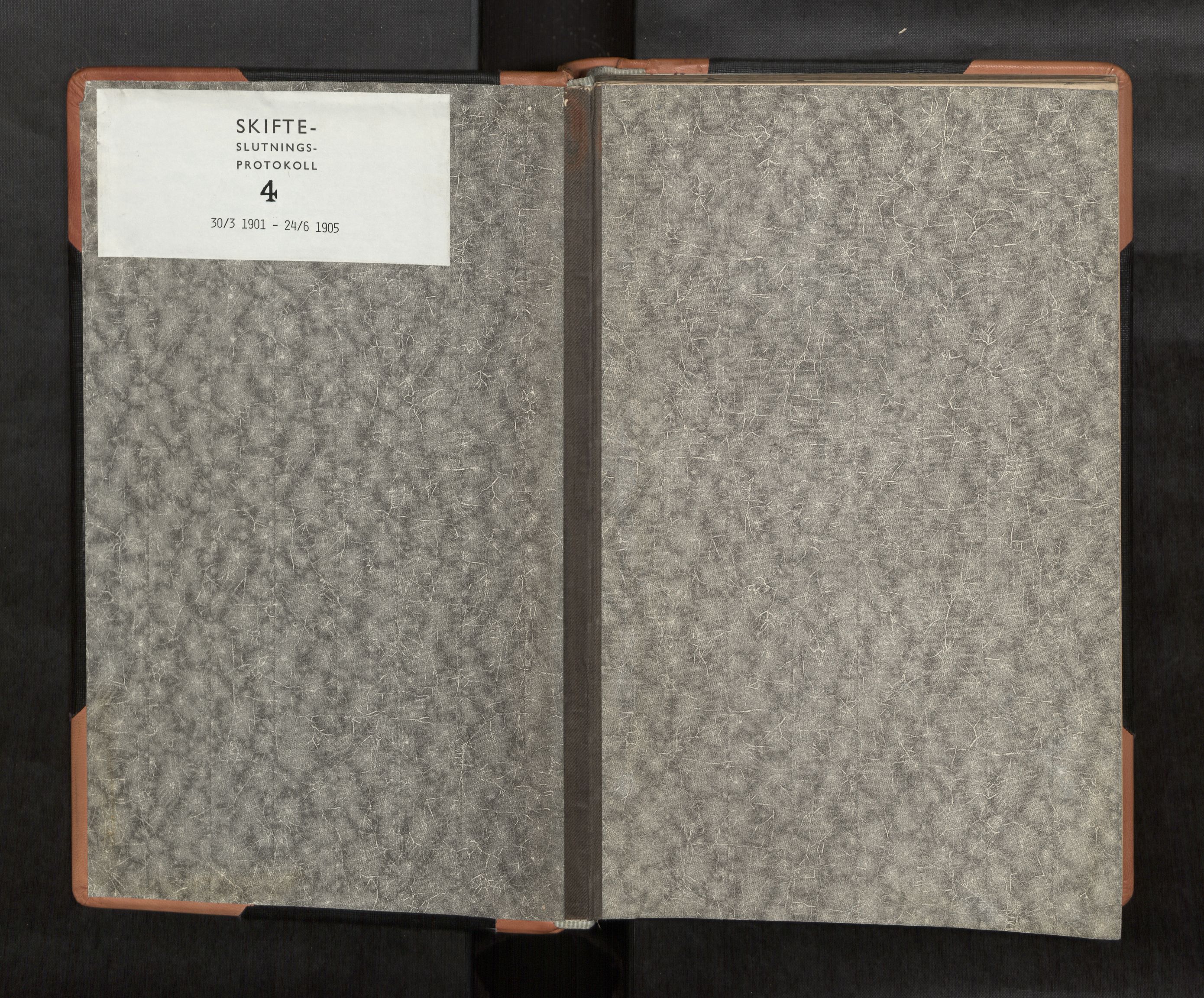 Lofoten sorenskriveri, SAT/A-0017/1/3/3A/L0007: Skifteprotokoll, 1901-1905