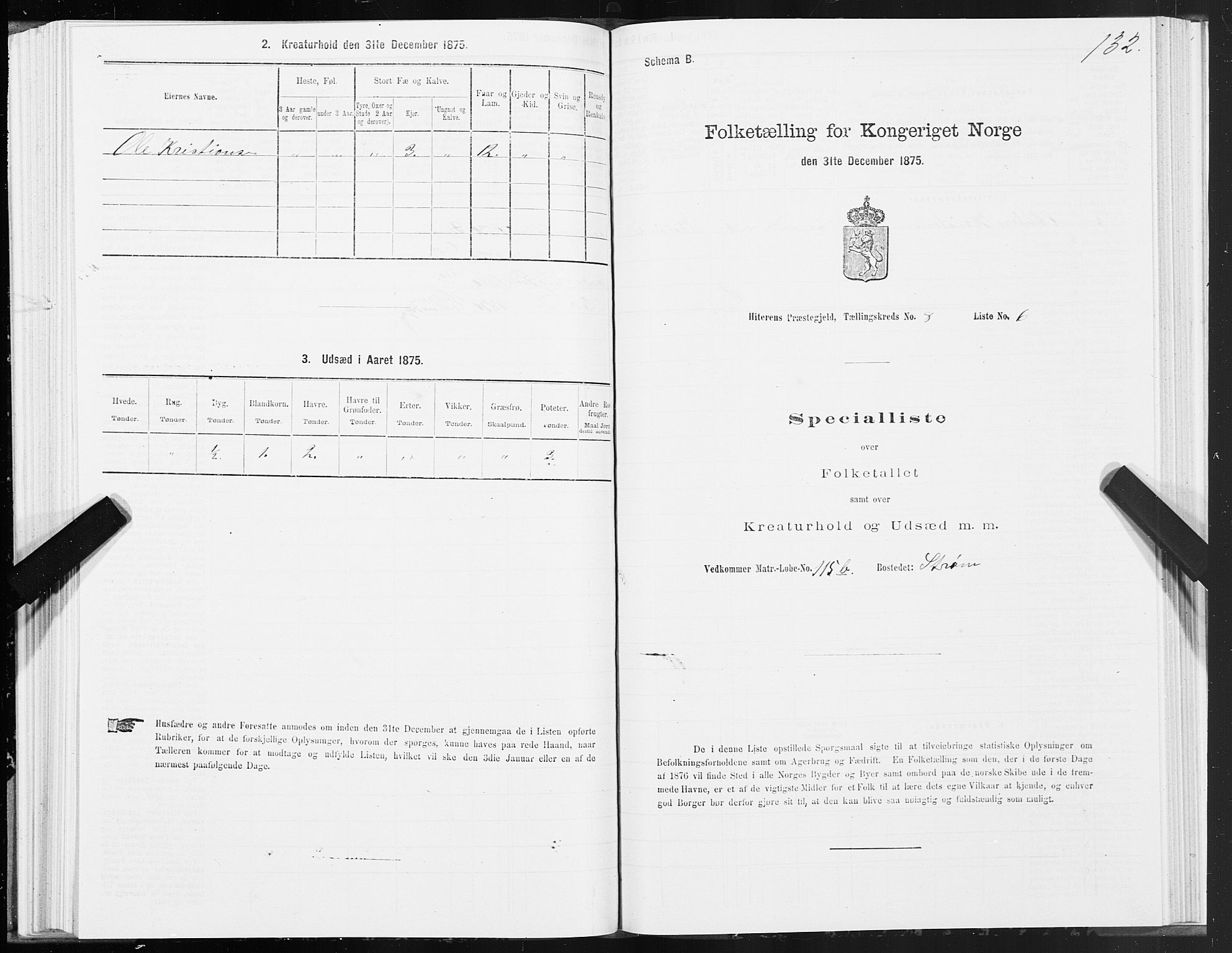 SAT, Folketelling 1875 for 1617P Hitra prestegjeld, 1875, s. 4132