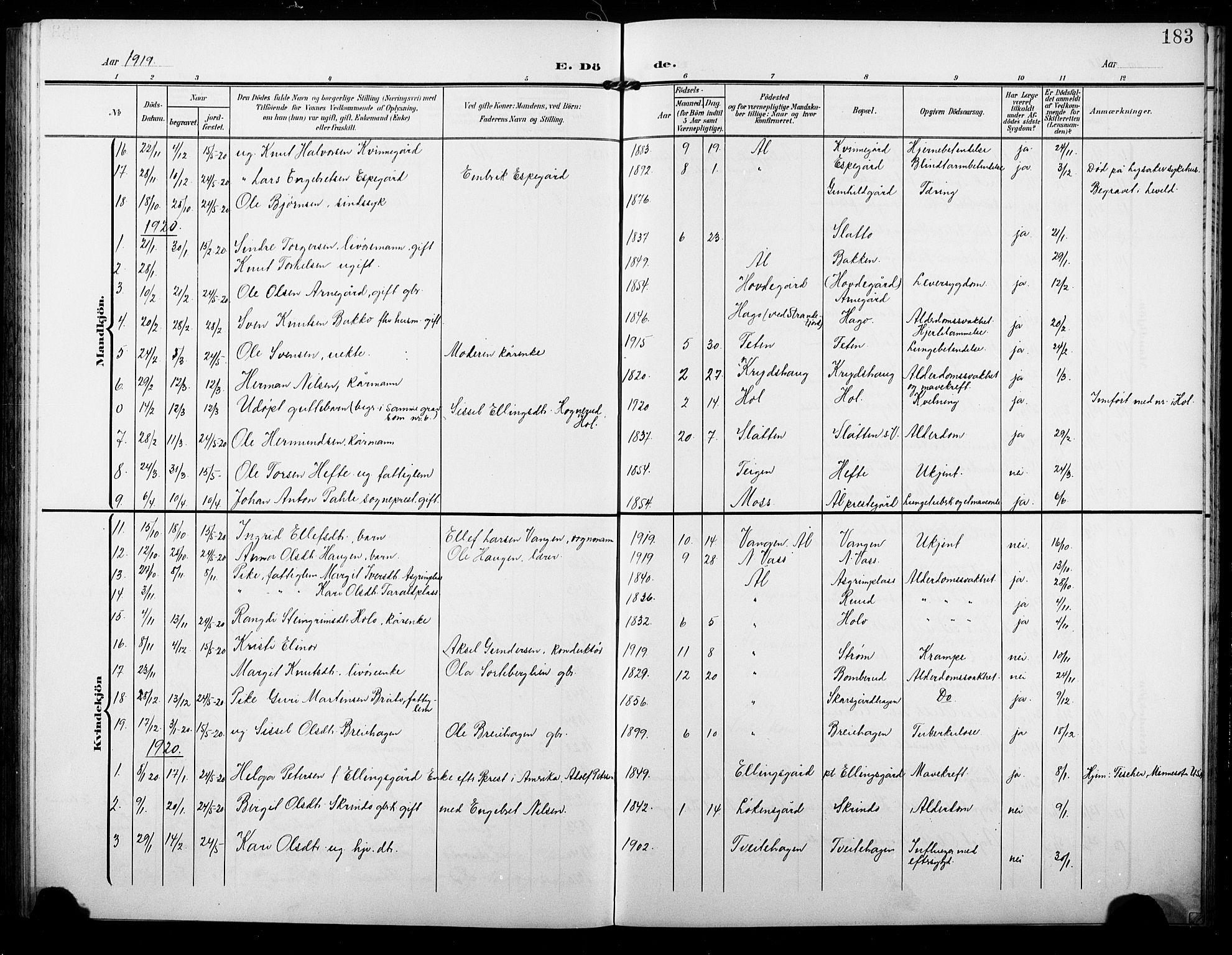 Ål kirkebøker, AV/SAKO-A-249/G/Ga/L0002: Klokkerbok nr. 2, 1904-1928, s. 183