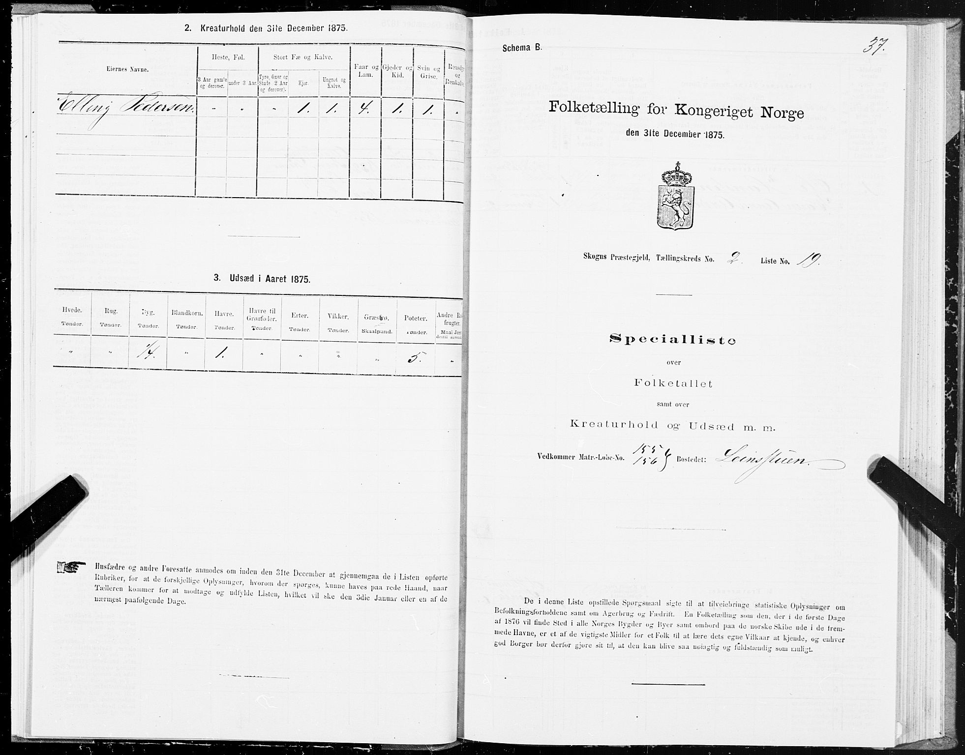 SAT, Folketelling 1875 for 1719P Skogn prestegjeld, 1875, s. 2037