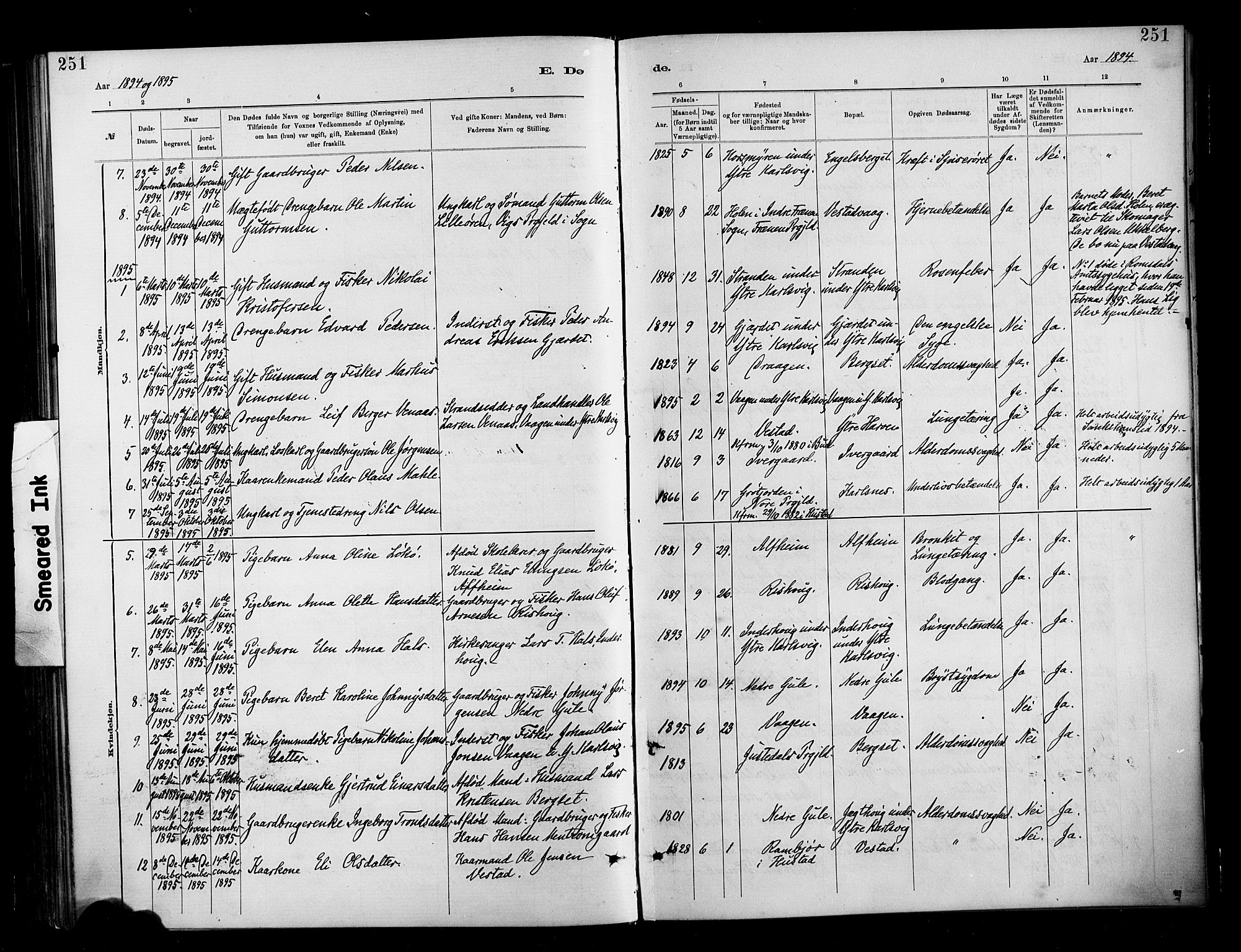 Ministerialprotokoller, klokkerbøker og fødselsregistre - Møre og Romsdal, AV/SAT-A-1454/566/L0769: Ministerialbok nr. 566A08, 1881-1903, s. 251