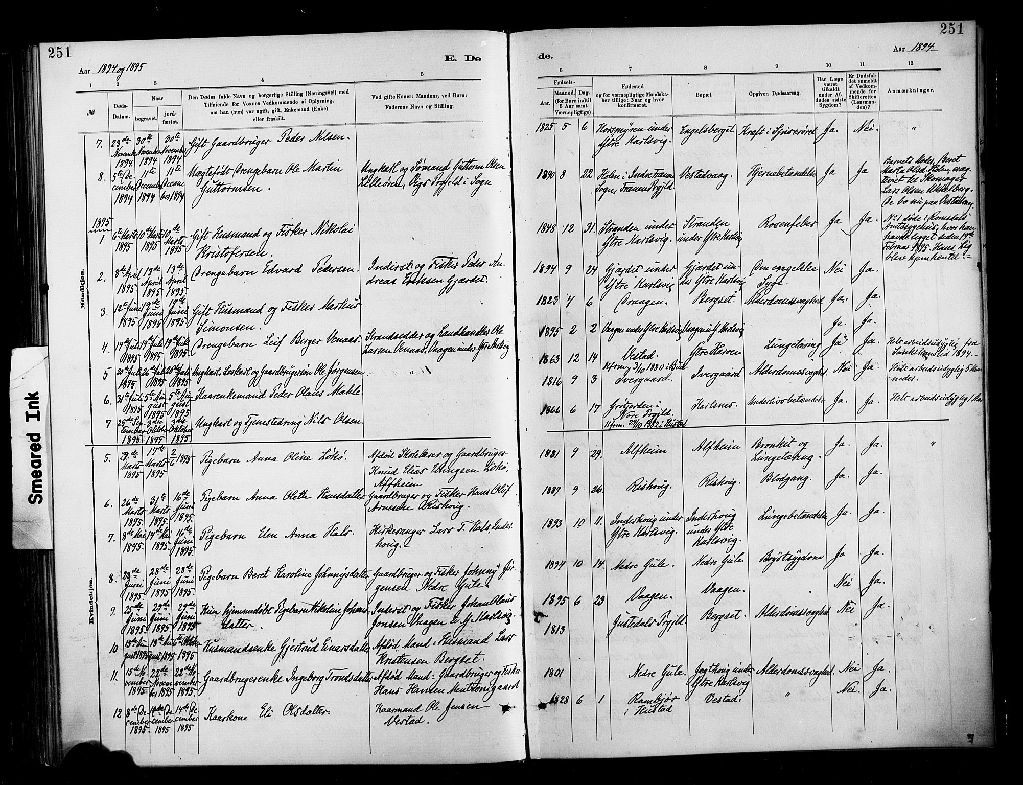 Ministerialprotokoller, klokkerbøker og fødselsregistre - Møre og Romsdal, SAT/A-1454/566/L0769: Ministerialbok nr. 566A08, 1881-1903, s. 251