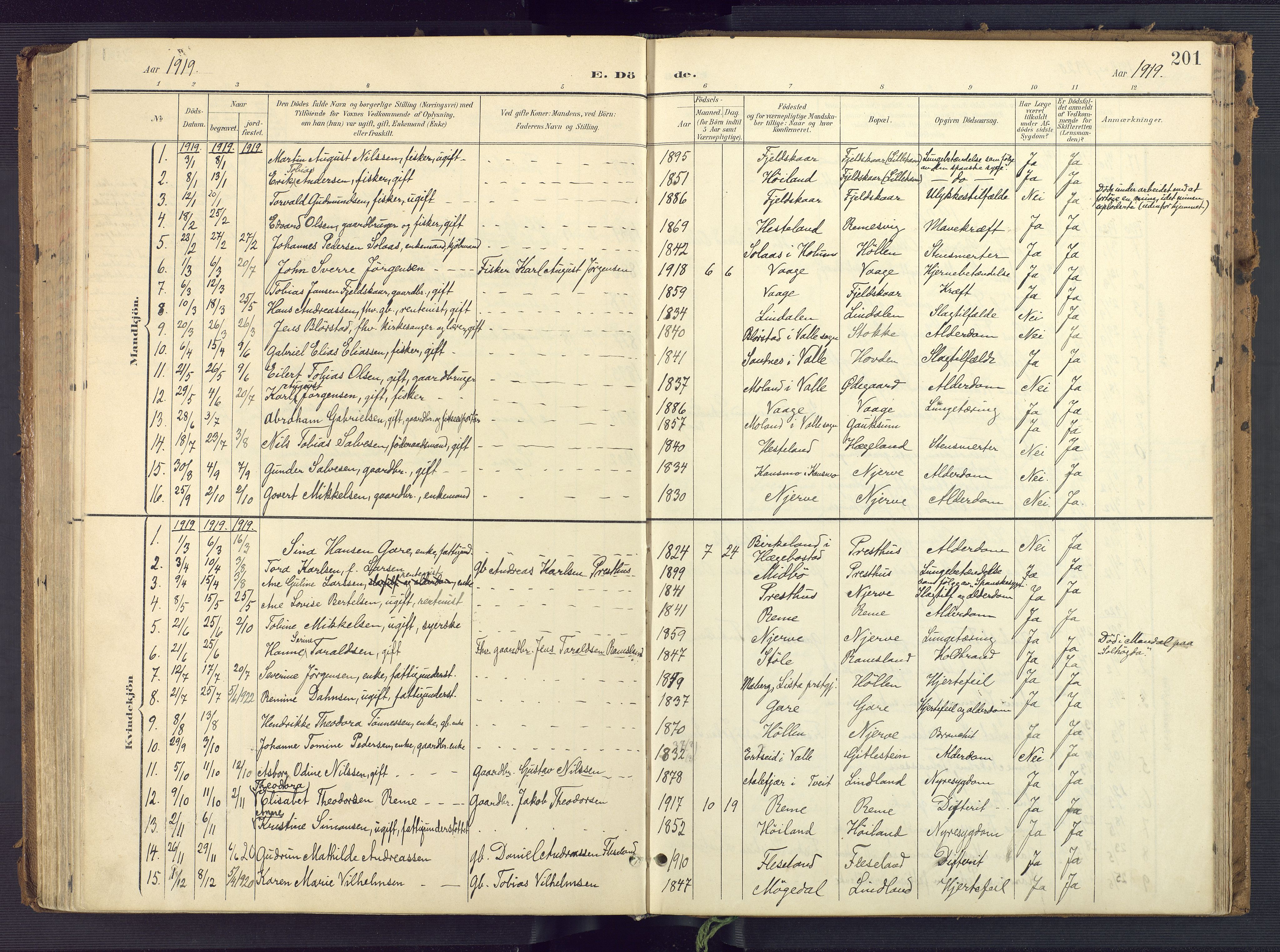 Sør-Audnedal sokneprestkontor, AV/SAK-1111-0039/F/Fa/Faa/L0005: Ministerialbok nr. A 5, 1900-1923, s. 201