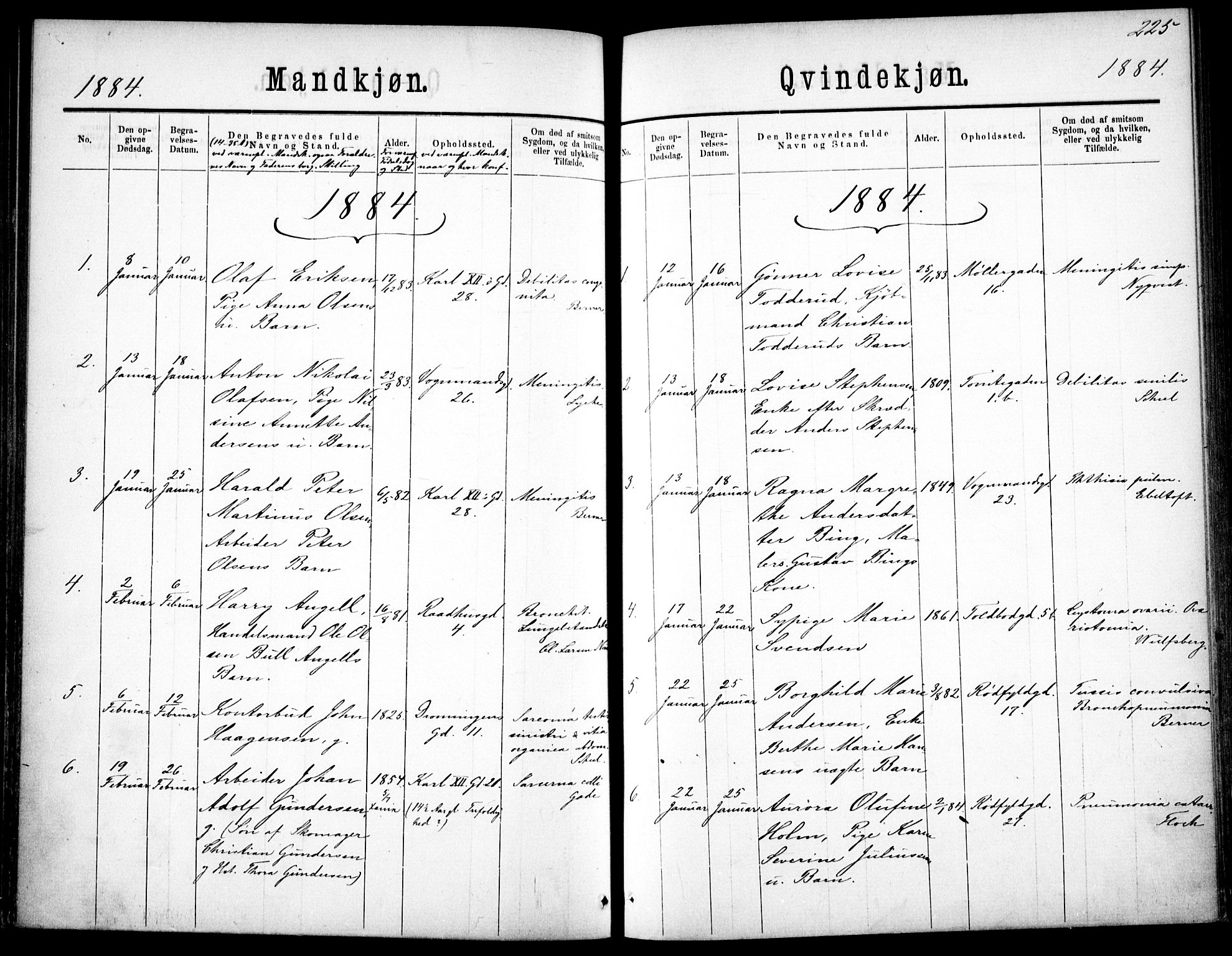 Oslo domkirke Kirkebøker, SAO/A-10752/F/Fa/L0026: Ministerialbok nr. 26, 1867-1884, s. 225