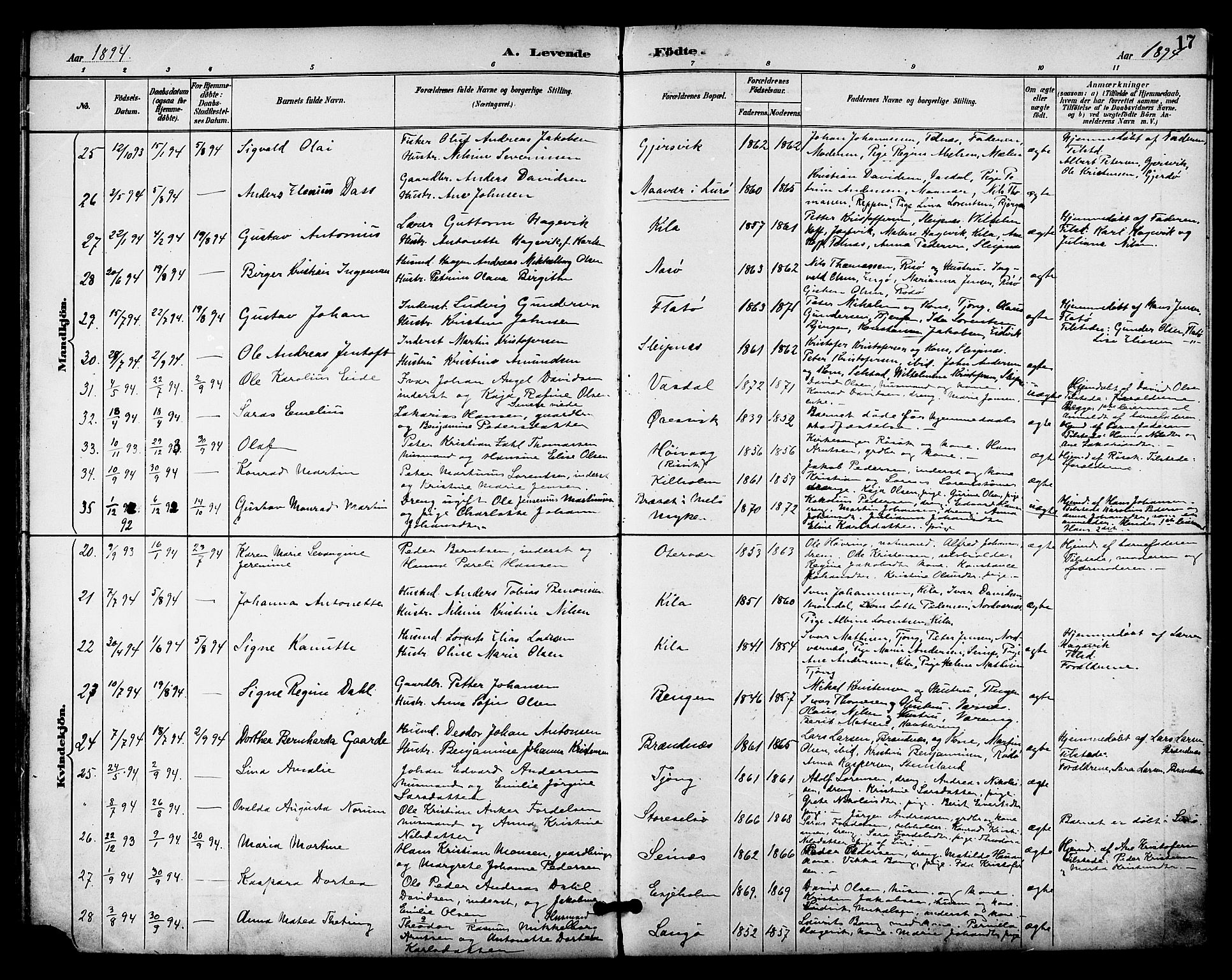 Ministerialprotokoller, klokkerbøker og fødselsregistre - Nordland, AV/SAT-A-1459/841/L0610: Ministerialbok nr. 841A14, 1890-1901, s. 17