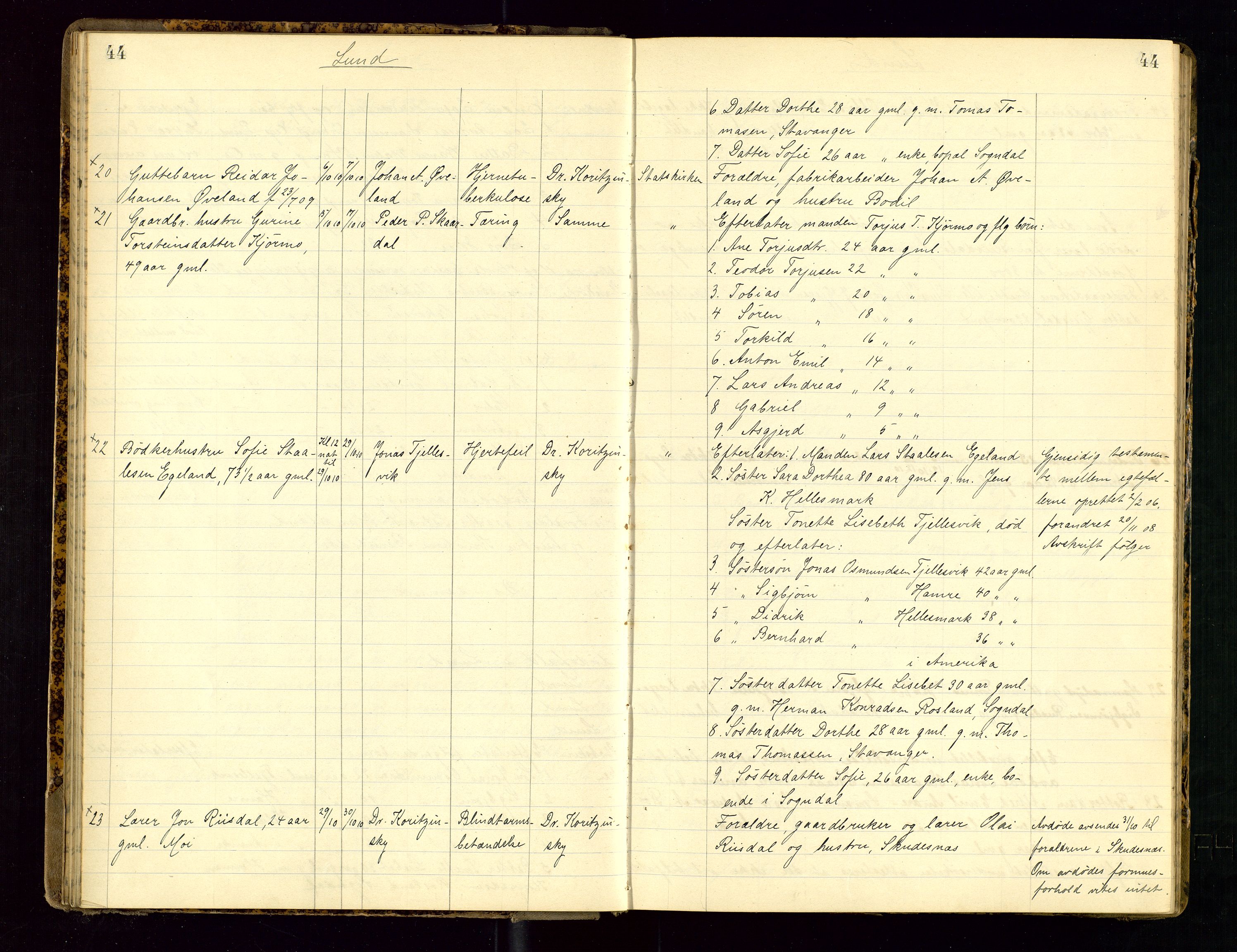 Dalane sorenskriveri, AV/SAST-A-100309/001/5/52/L0001: DØDSFALLPROTOKOLL, 1904-1911, s. 44