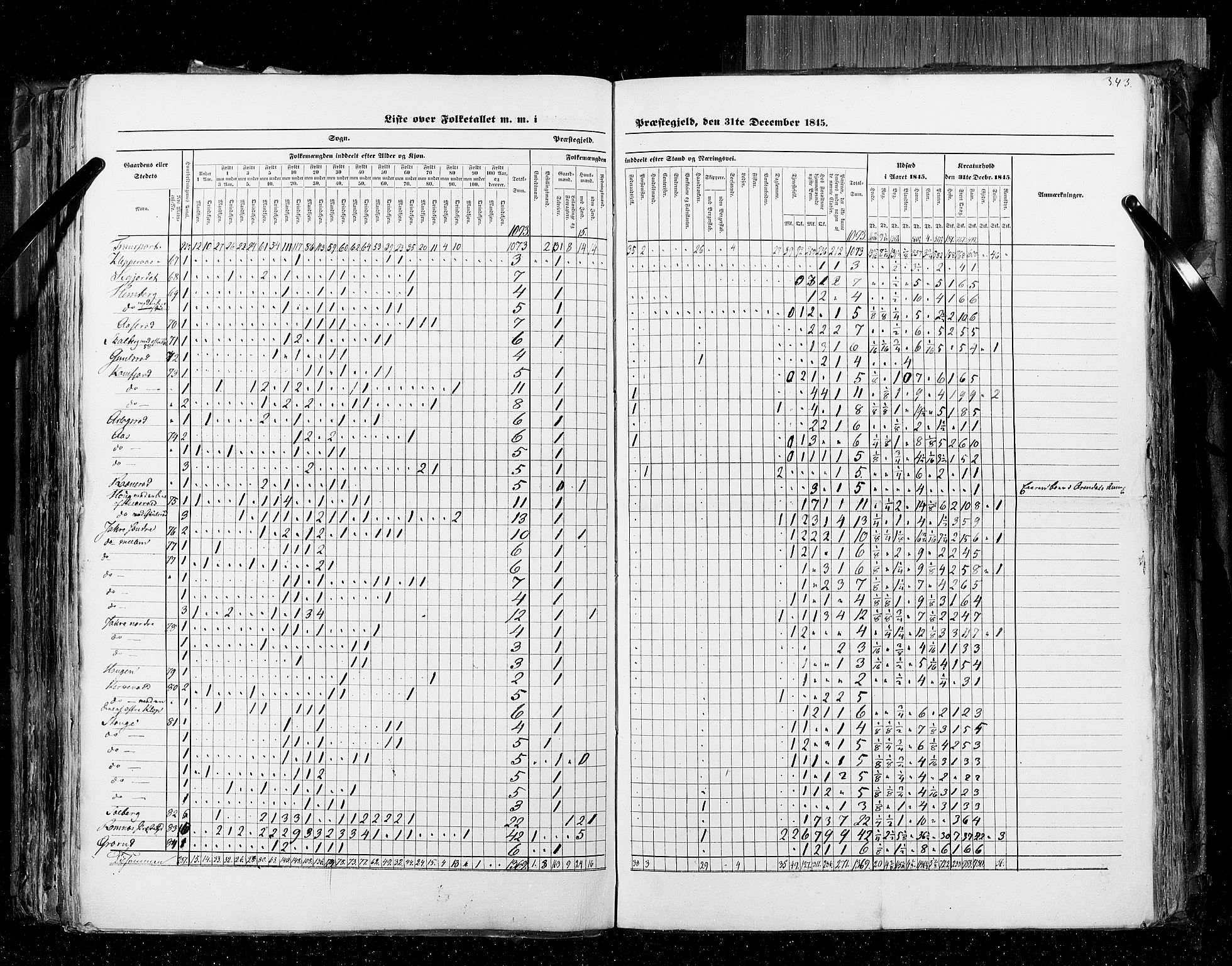 RA, Folketellingen 1845, bind 4: Buskerud amt og Jarlsberg og Larvik amt, 1845, s. 343