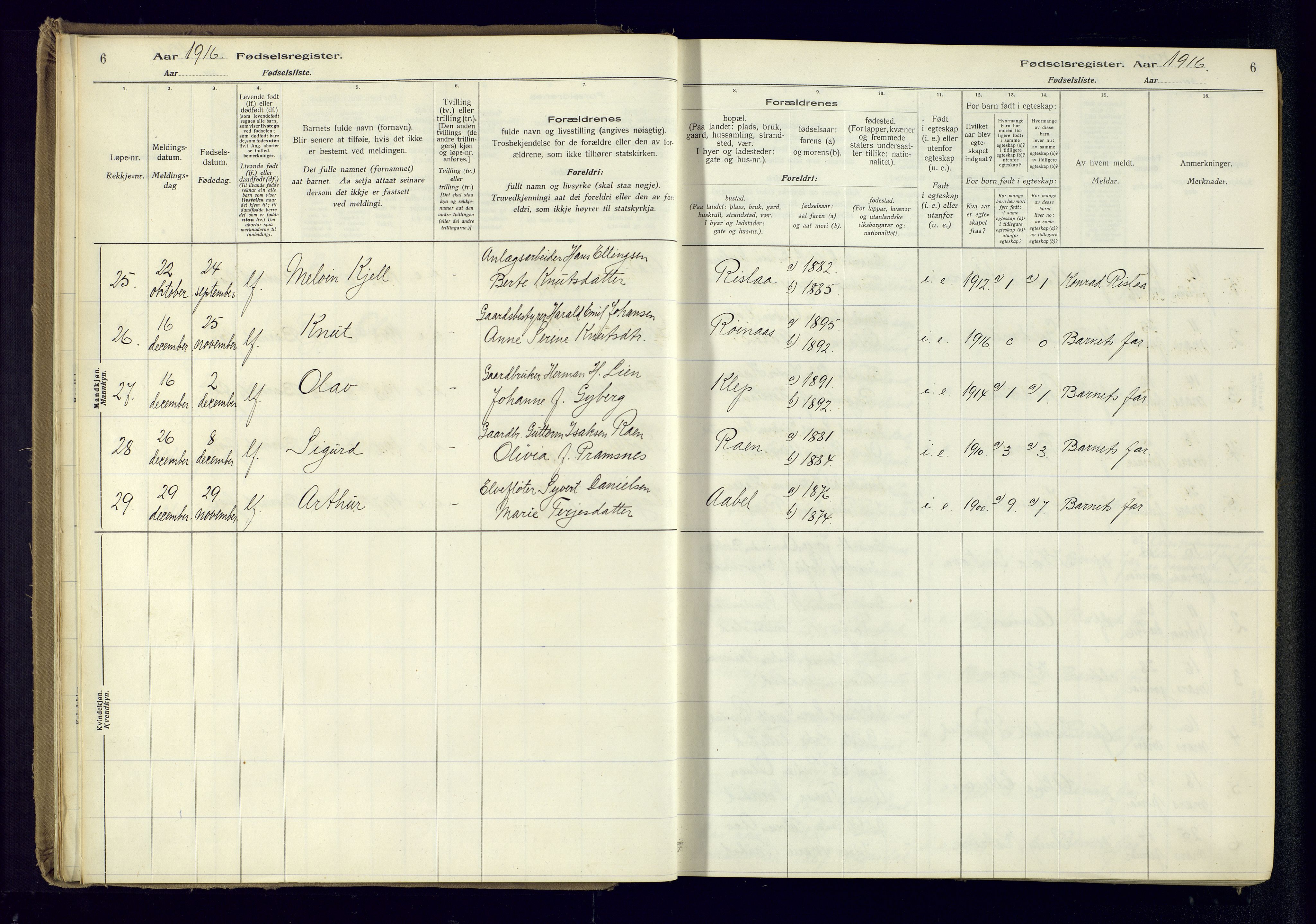 Birkenes sokneprestkontor, AV/SAK-1111-0004/J/Ja/L0001: Fødselsregister nr. II.6.4, 1916-1962, s. 6