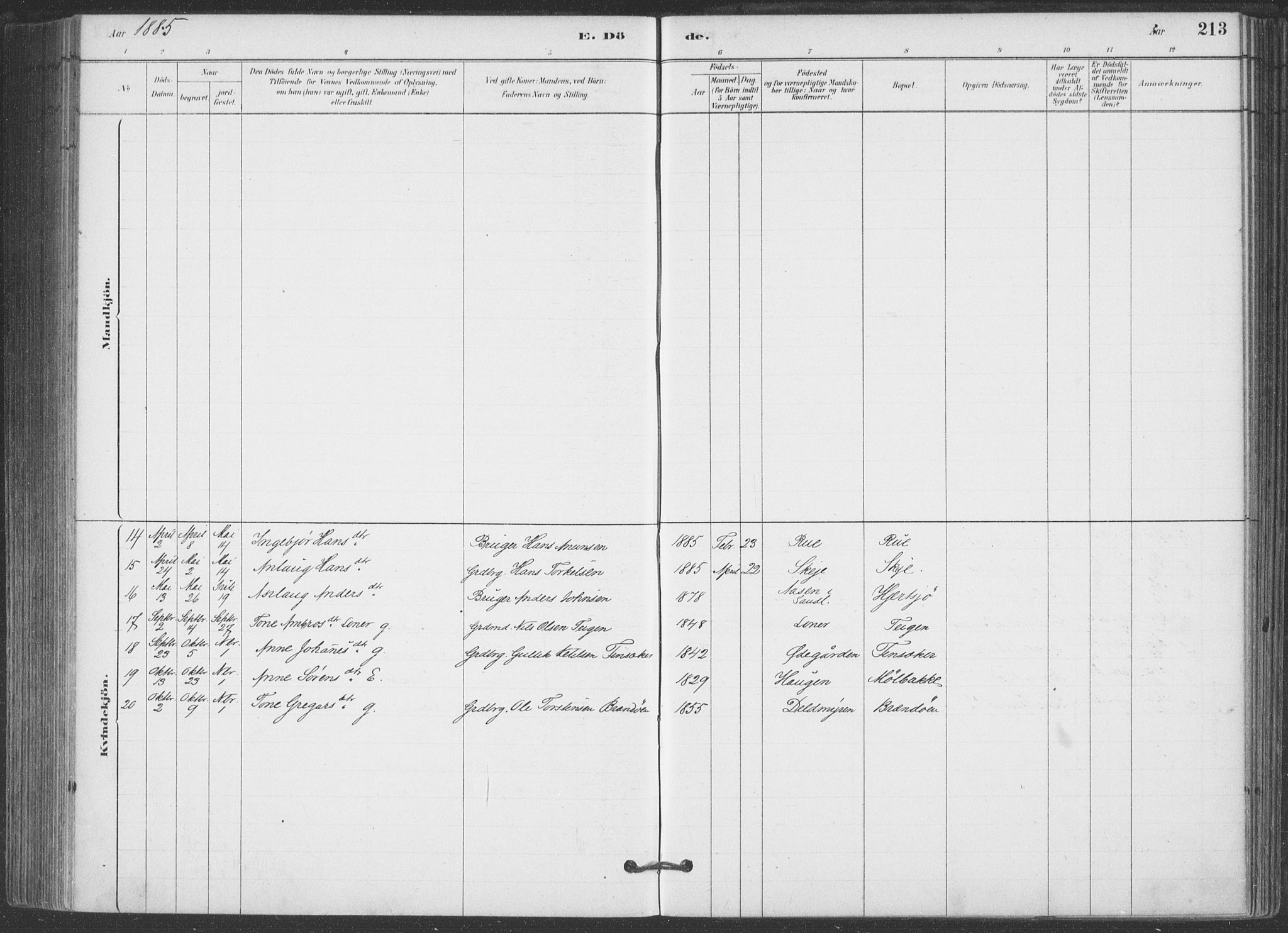 Hjartdal kirkebøker, AV/SAKO-A-270/F/Fa/L0010: Ministerialbok nr. I 10, 1880-1929, s. 213