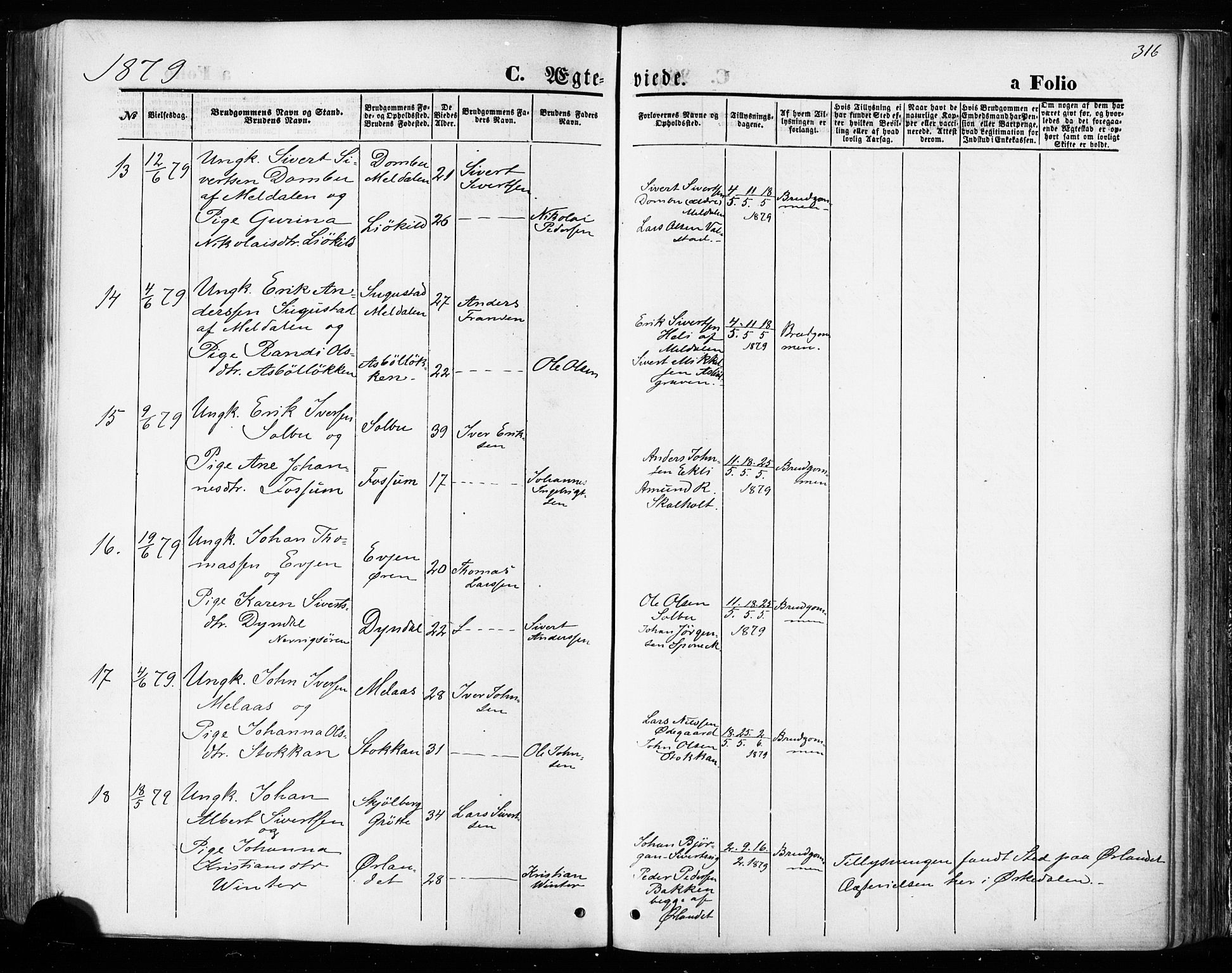 Ministerialprotokoller, klokkerbøker og fødselsregistre - Sør-Trøndelag, SAT/A-1456/668/L0807: Ministerialbok nr. 668A07, 1870-1880, s. 316