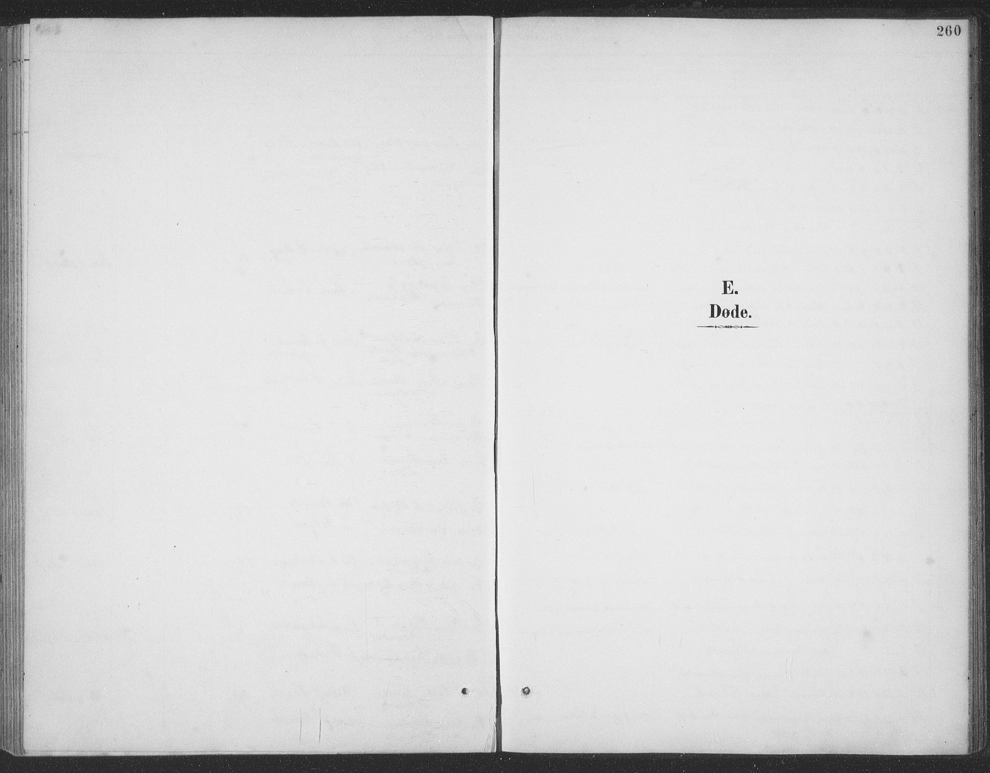 Ministerialprotokoller, klokkerbøker og fødselsregistre - Møre og Romsdal, AV/SAT-A-1454/523/L0335: Ministerialbok nr. 523A02, 1891-1911, s. 260