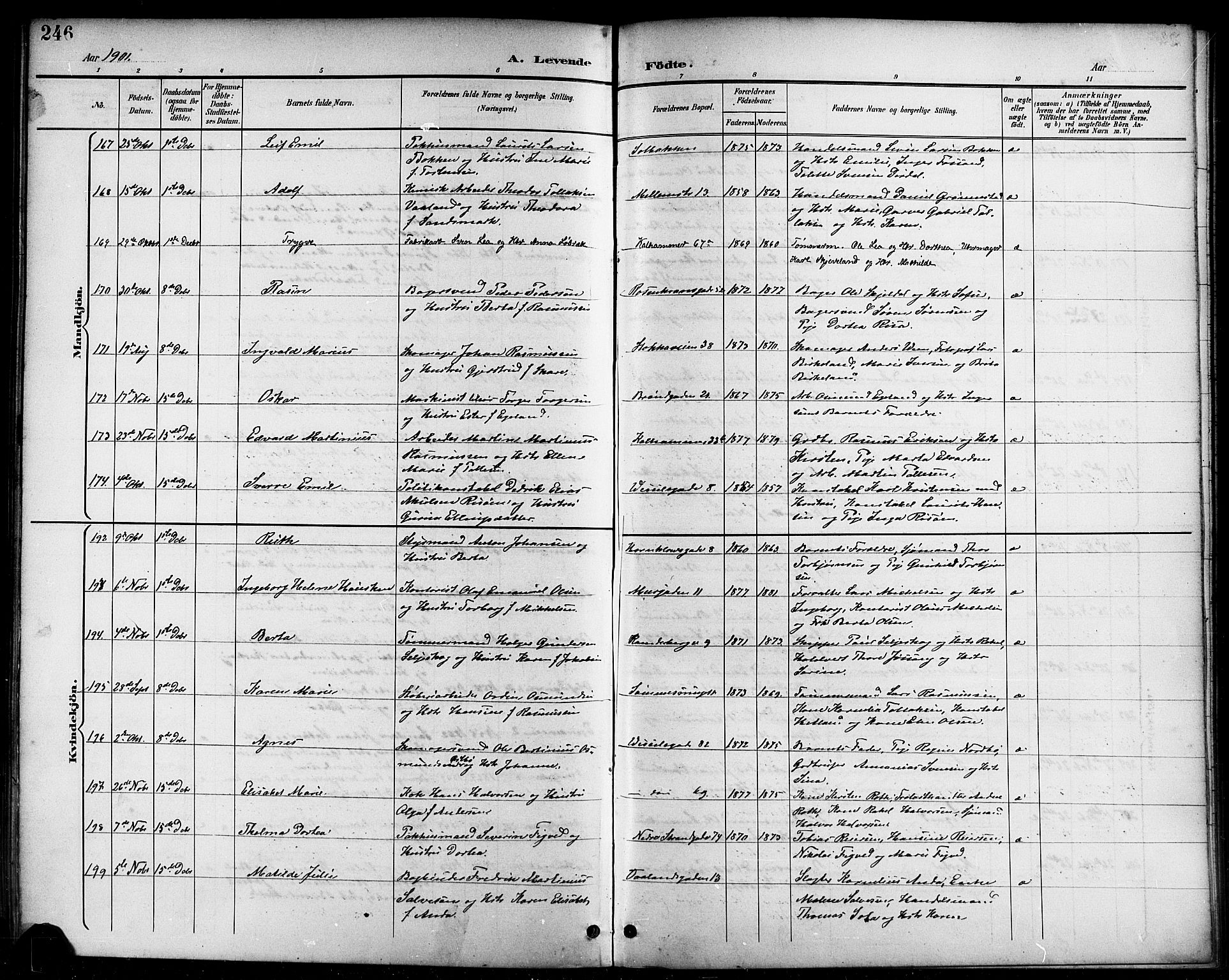 Domkirken sokneprestkontor, AV/SAST-A-101812/001/30/30BB/L0016: Klokkerbok nr. B 16, 1891-1902, s. 246