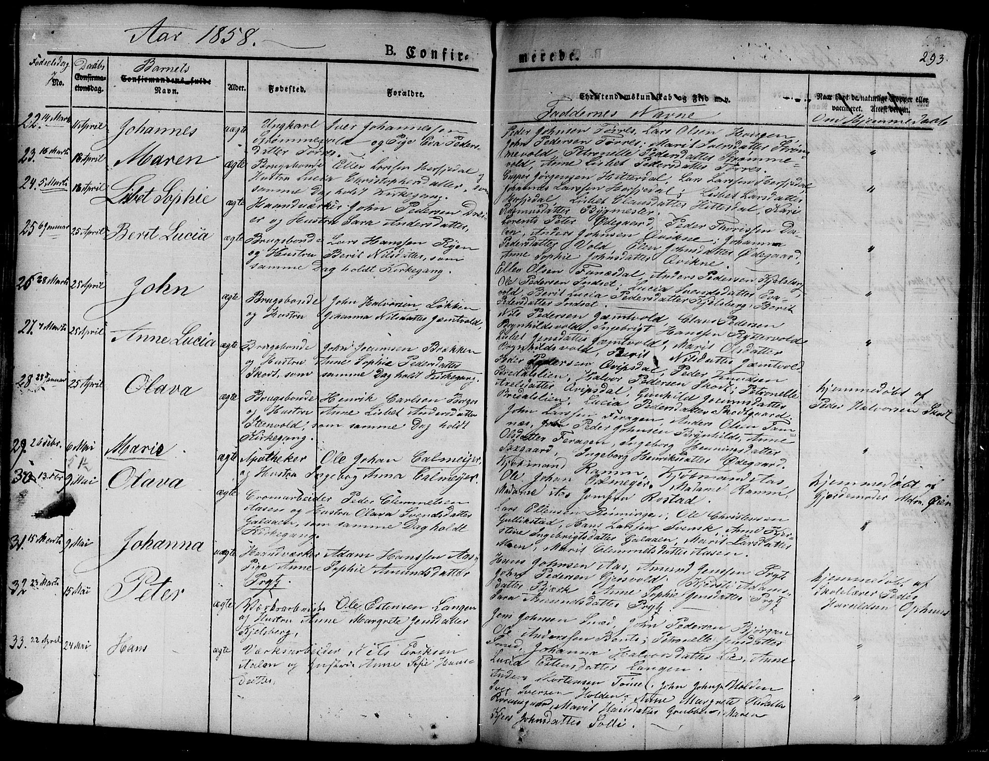Ministerialprotokoller, klokkerbøker og fødselsregistre - Sør-Trøndelag, SAT/A-1456/681/L0938: Klokkerbok nr. 681C02, 1829-1879, s. 293