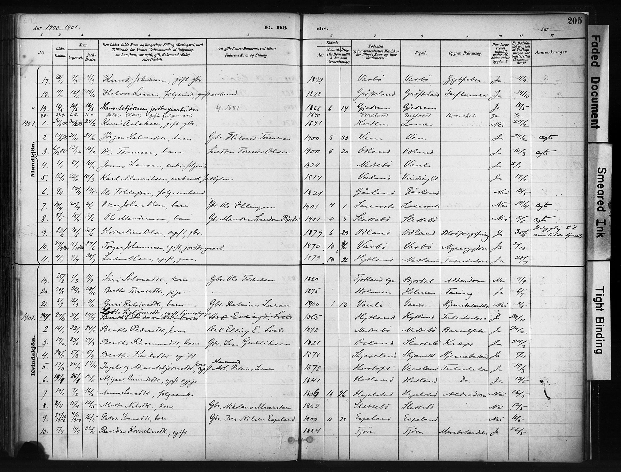 Helleland sokneprestkontor, SAST/A-101810: Ministerialbok nr. A 9, 1887-1908, s. 205