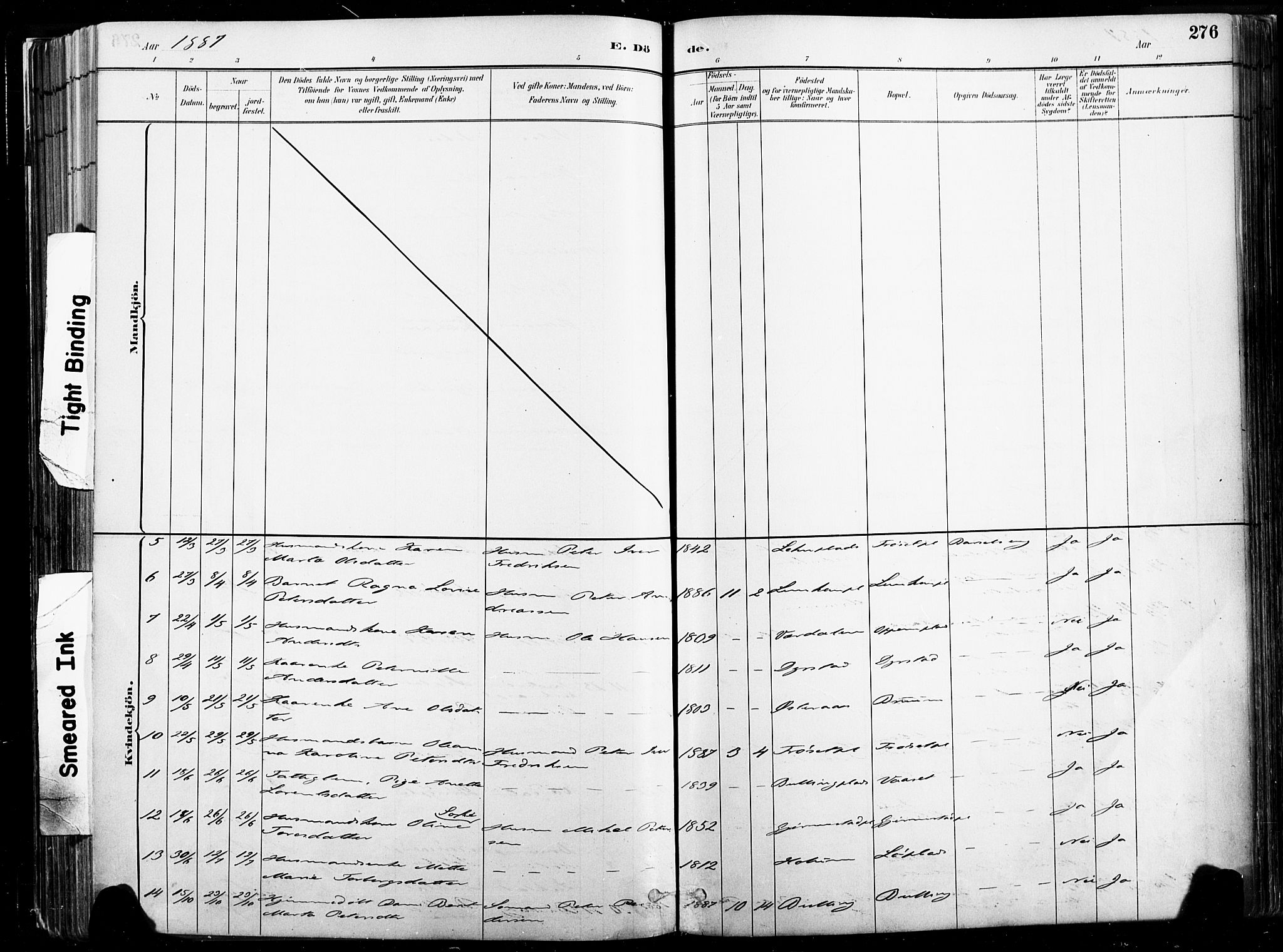 Ministerialprotokoller, klokkerbøker og fødselsregistre - Nord-Trøndelag, SAT/A-1458/735/L0351: Ministerialbok nr. 735A10, 1884-1908, s. 276
